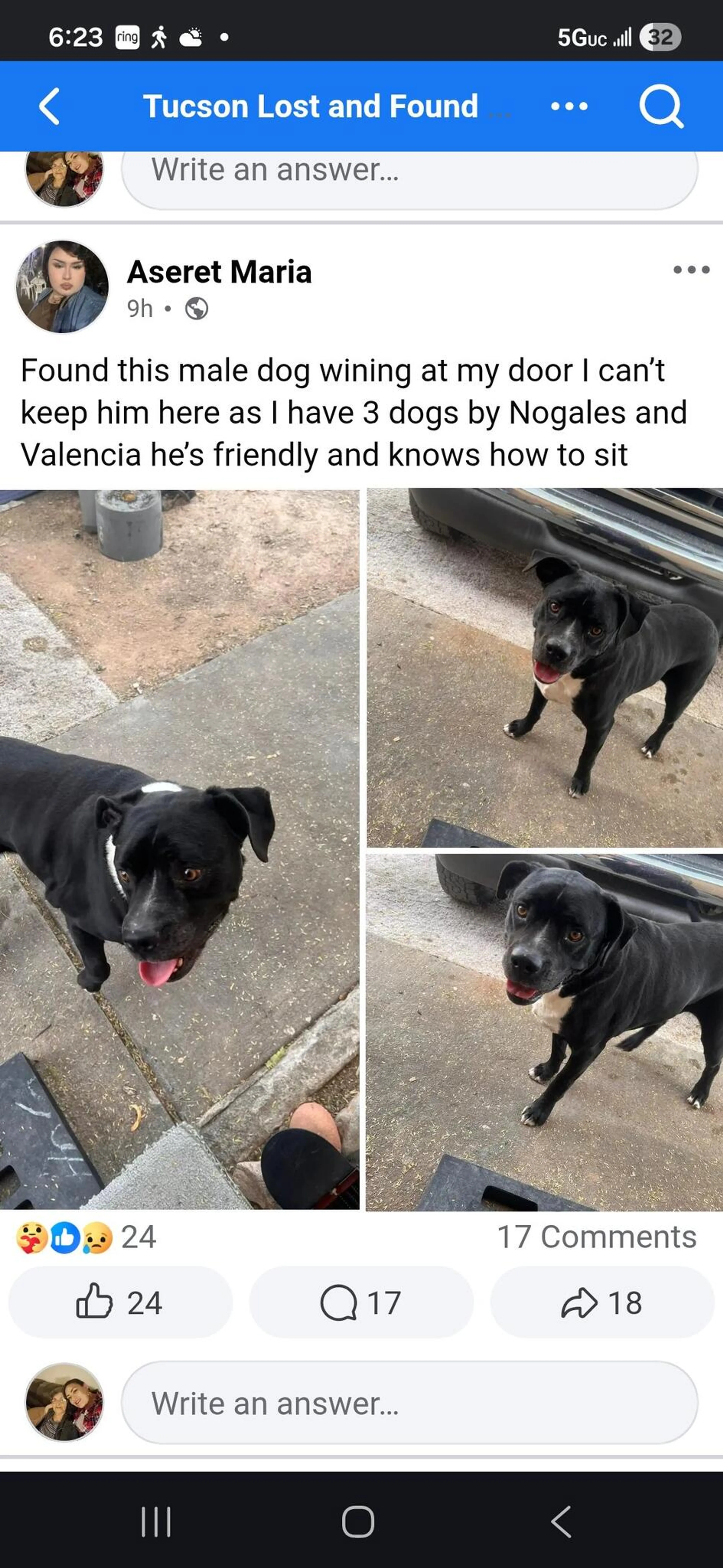 Found pet