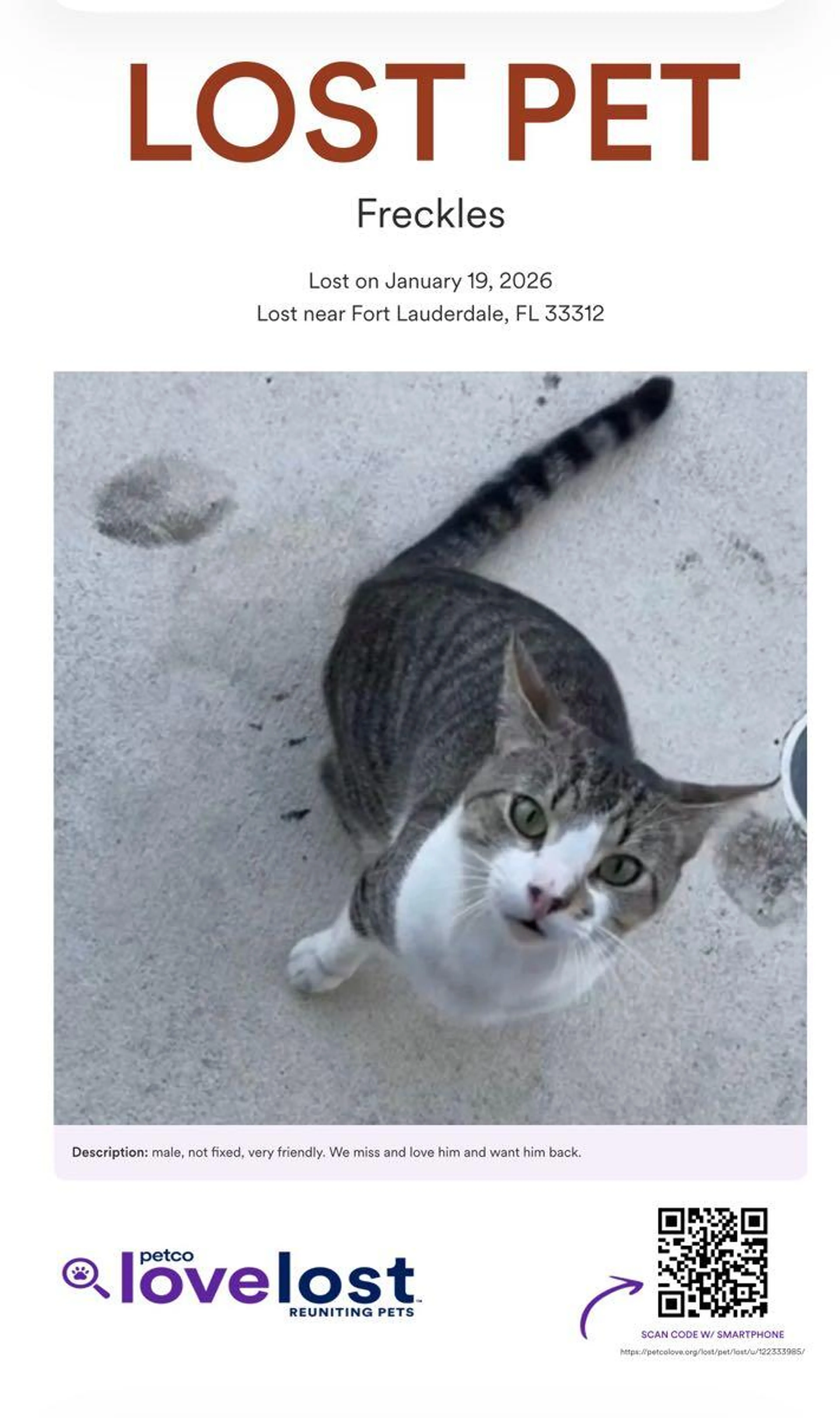 Lost pet