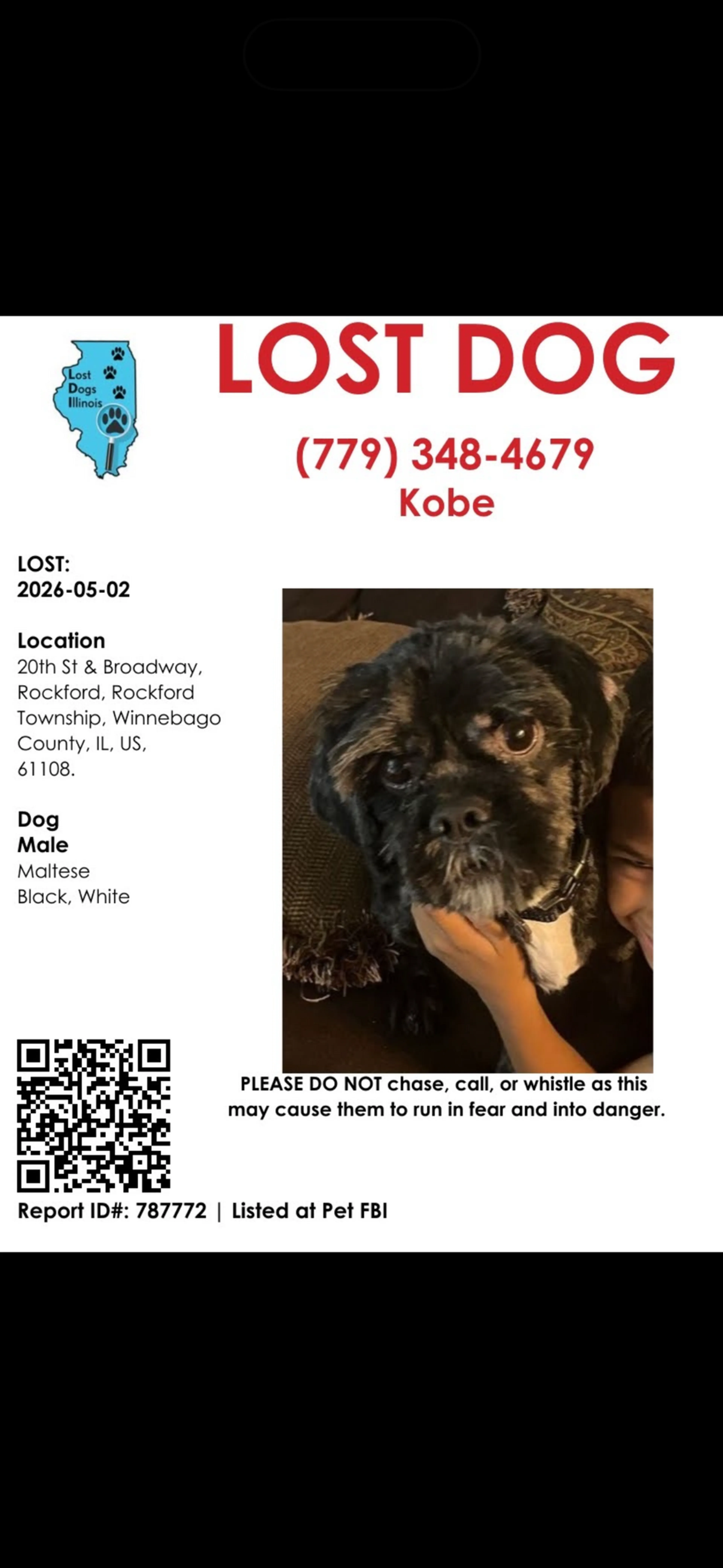 Lost pet