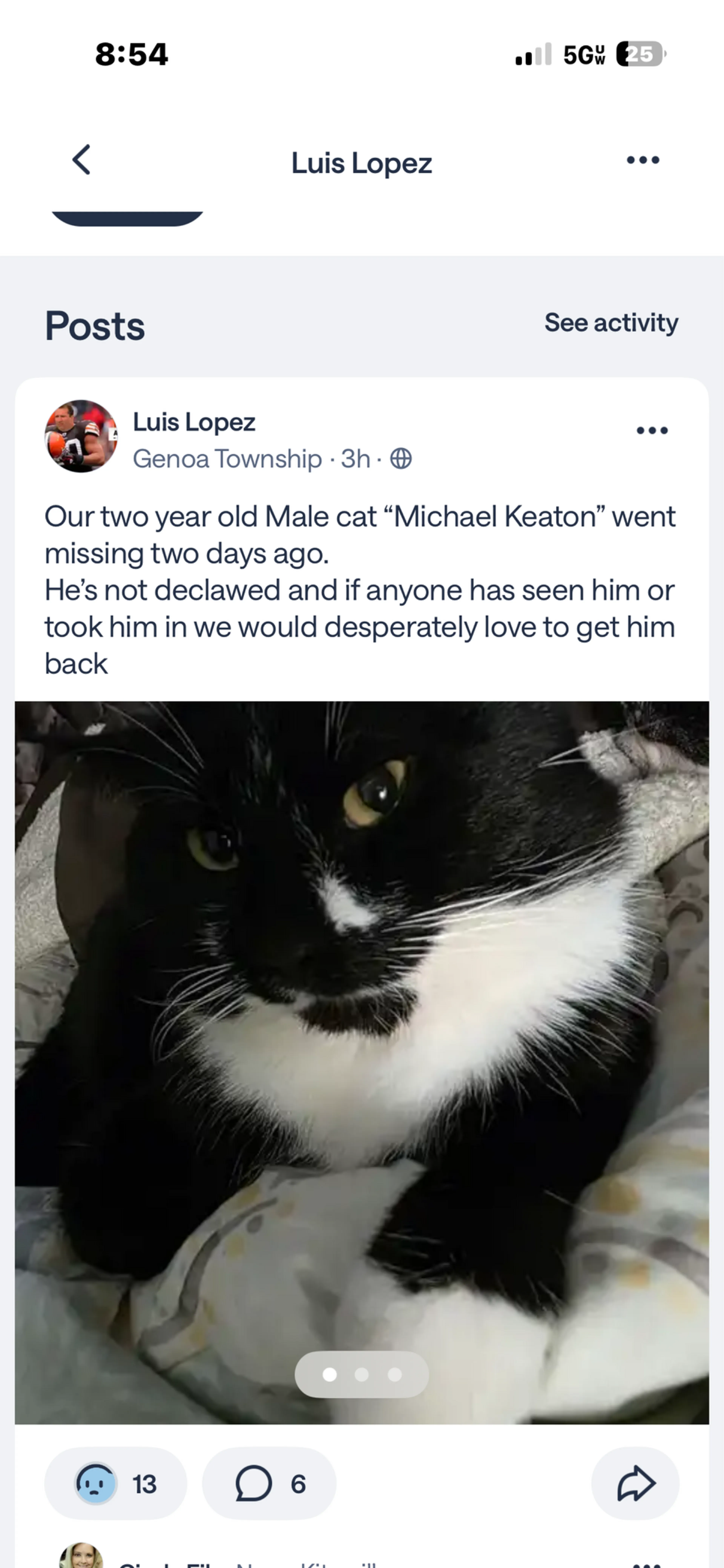 Lost pet