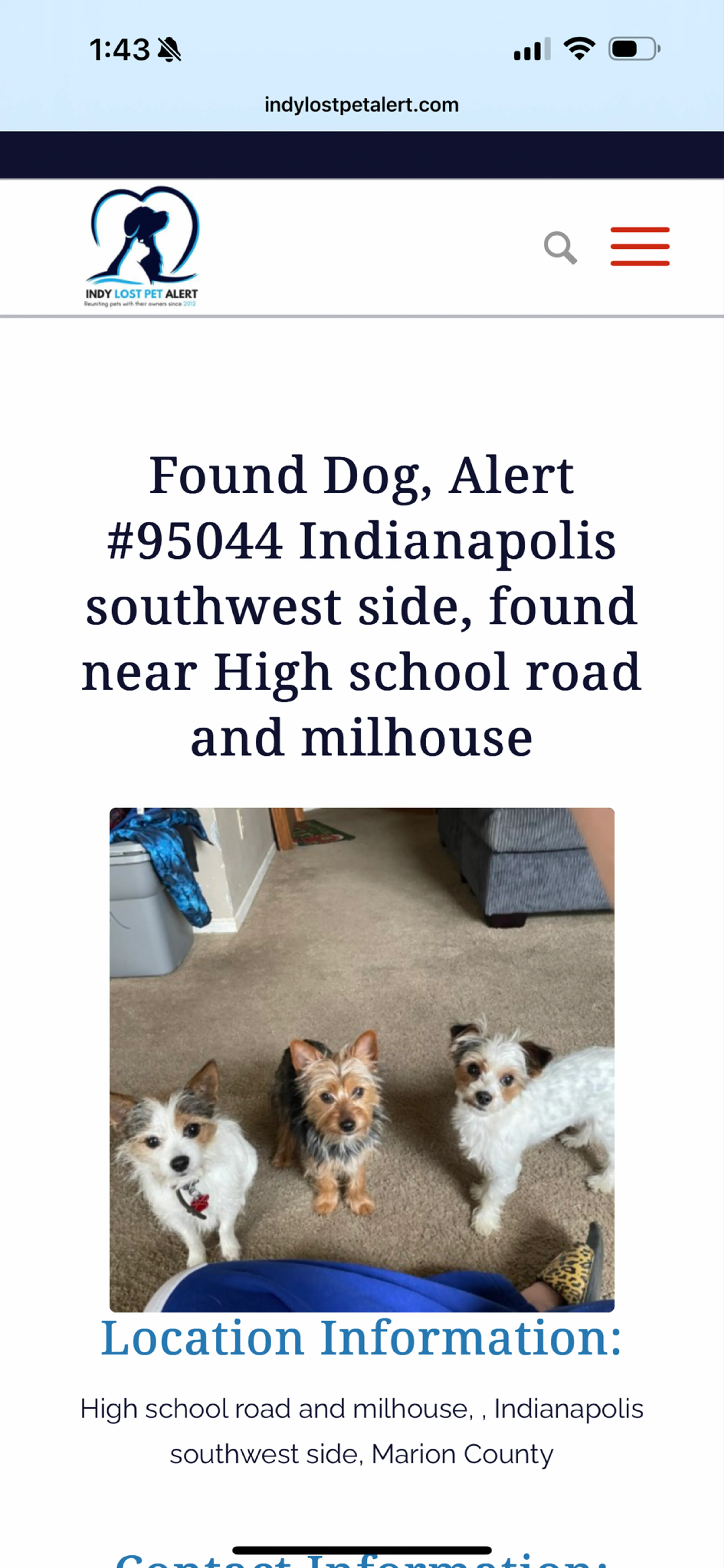 Found pet
