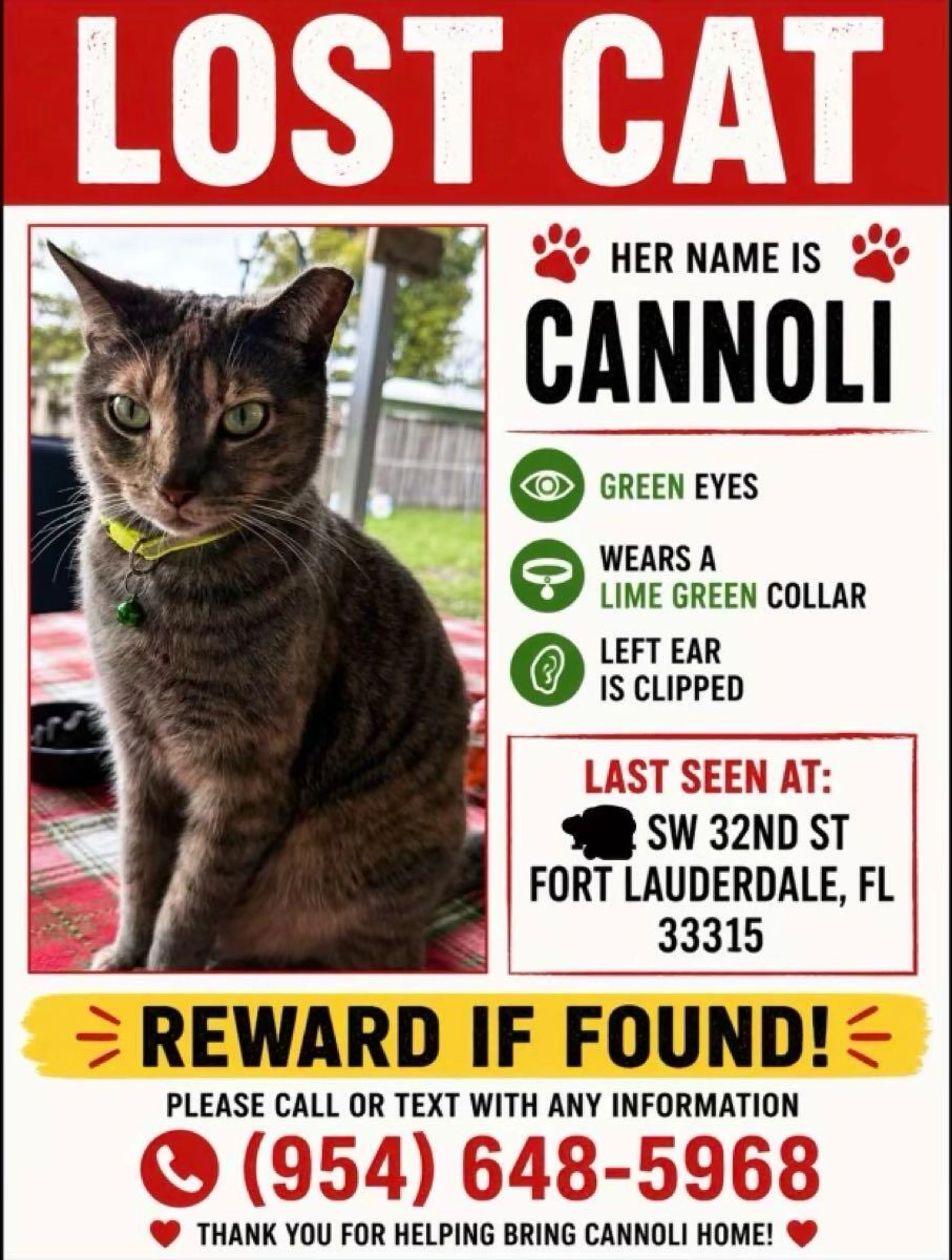Lost pet