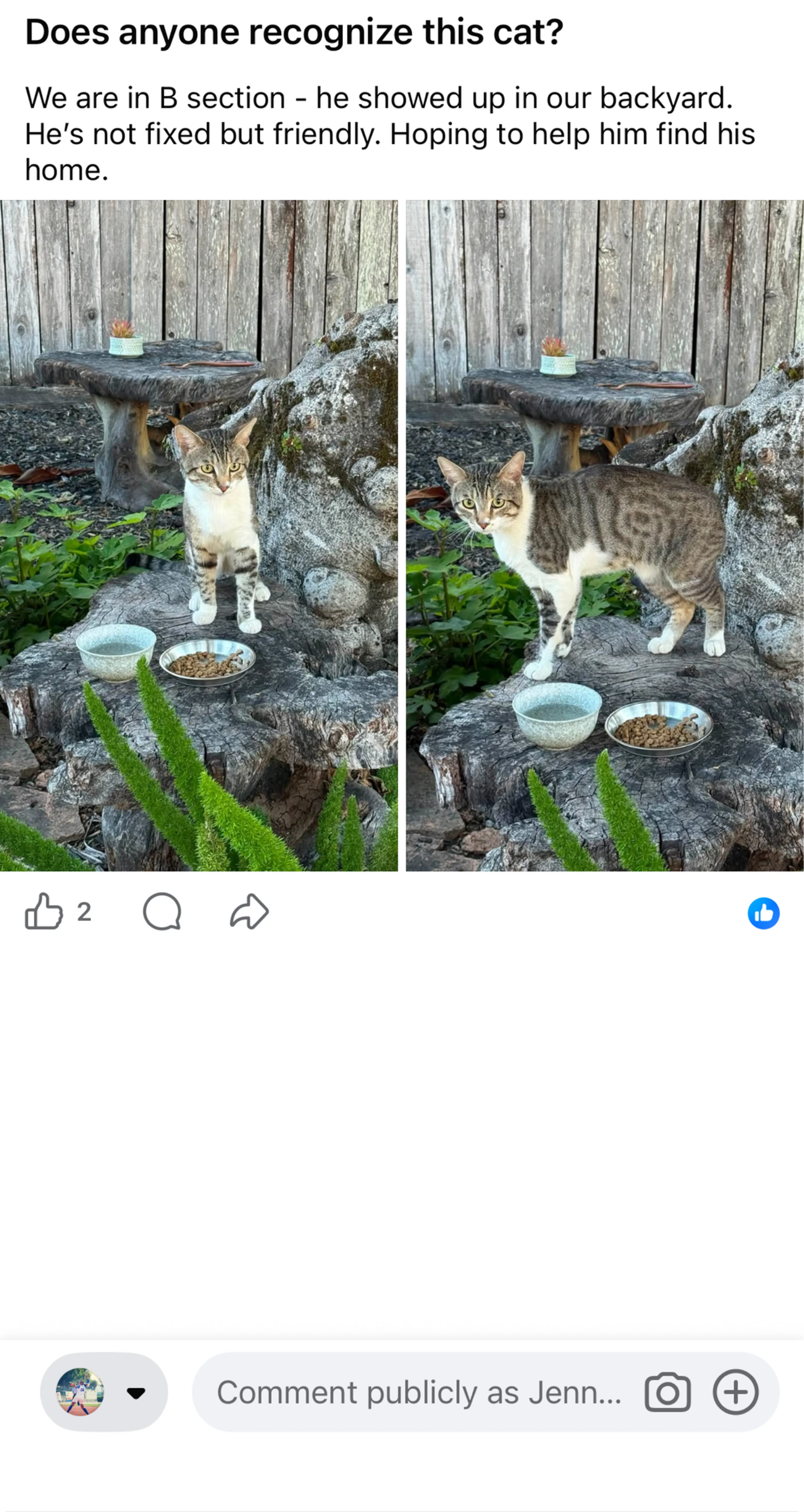 cdn image