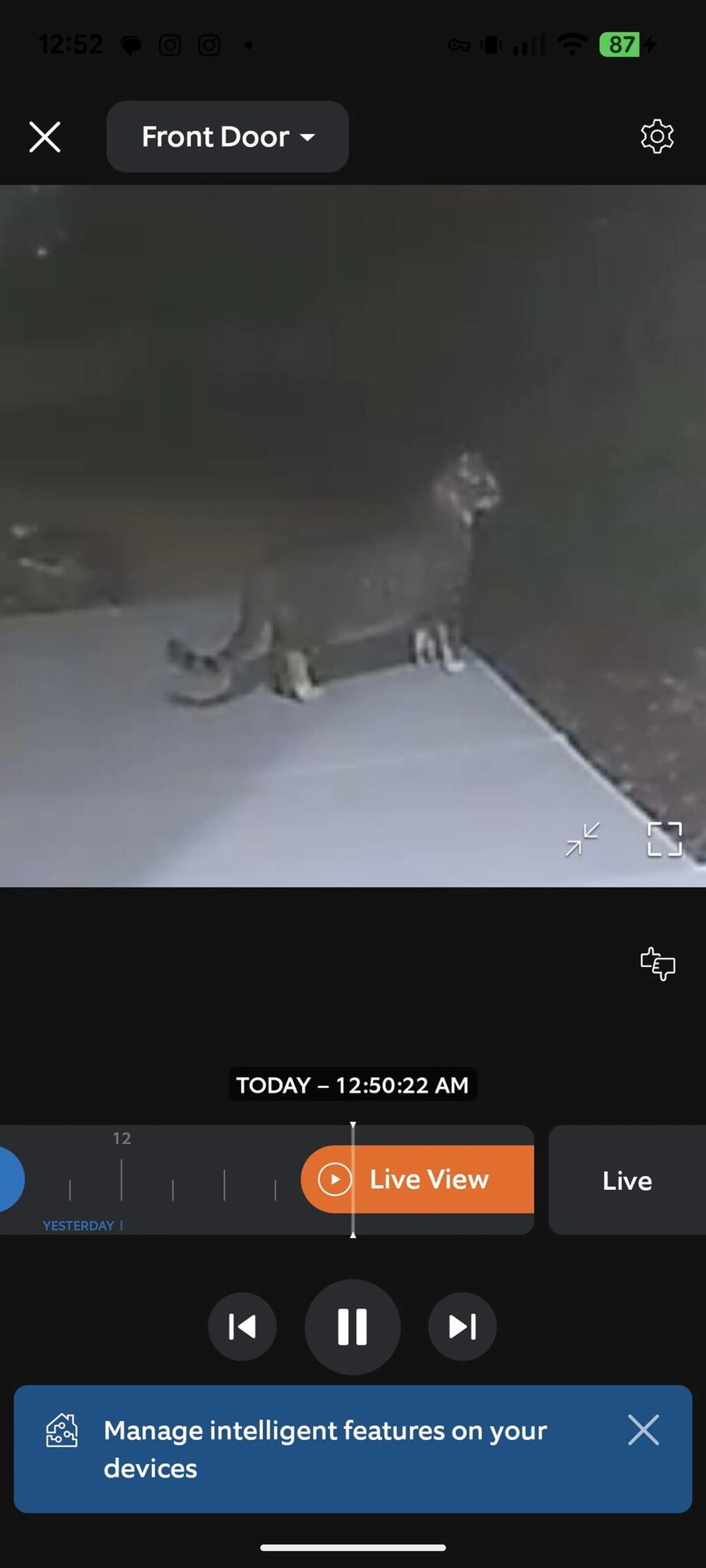Found pet