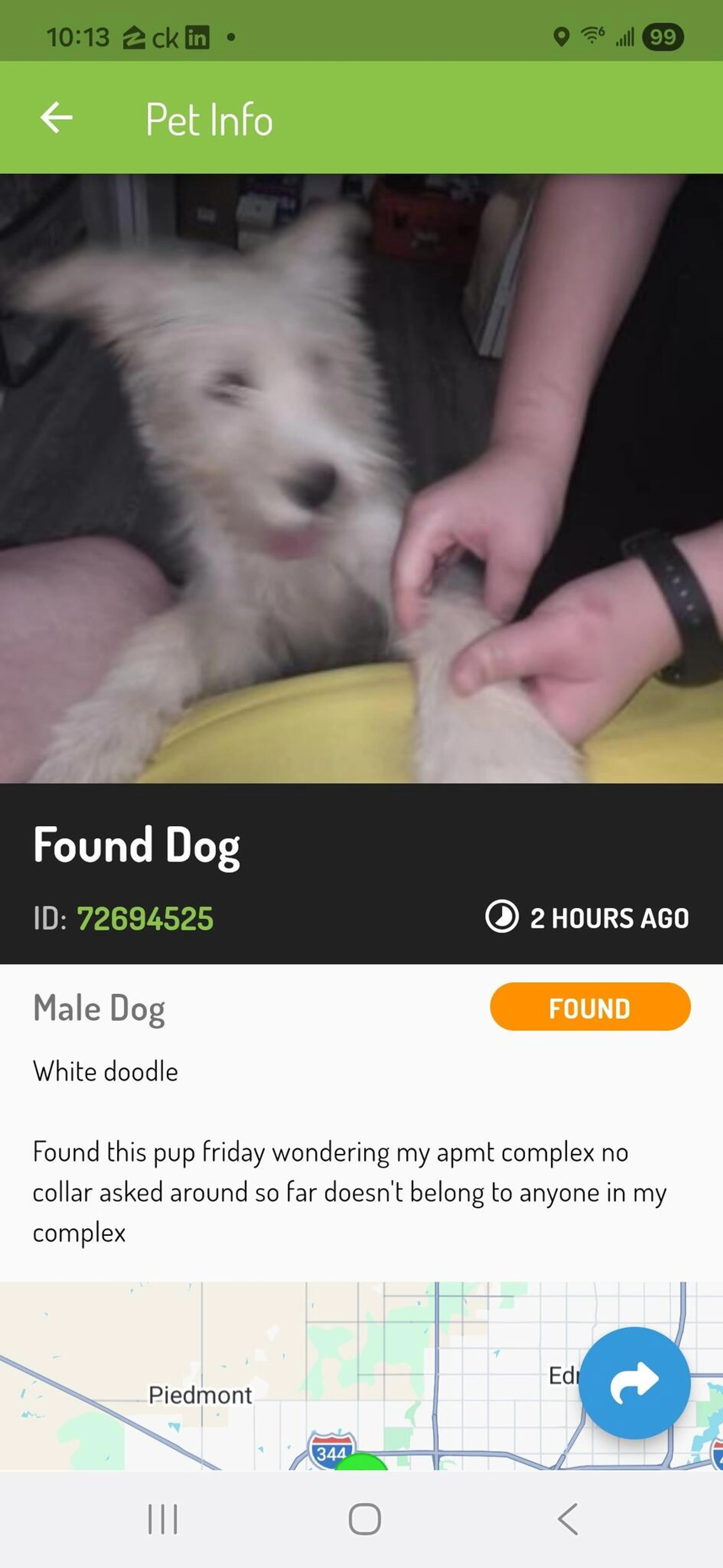 Found pet