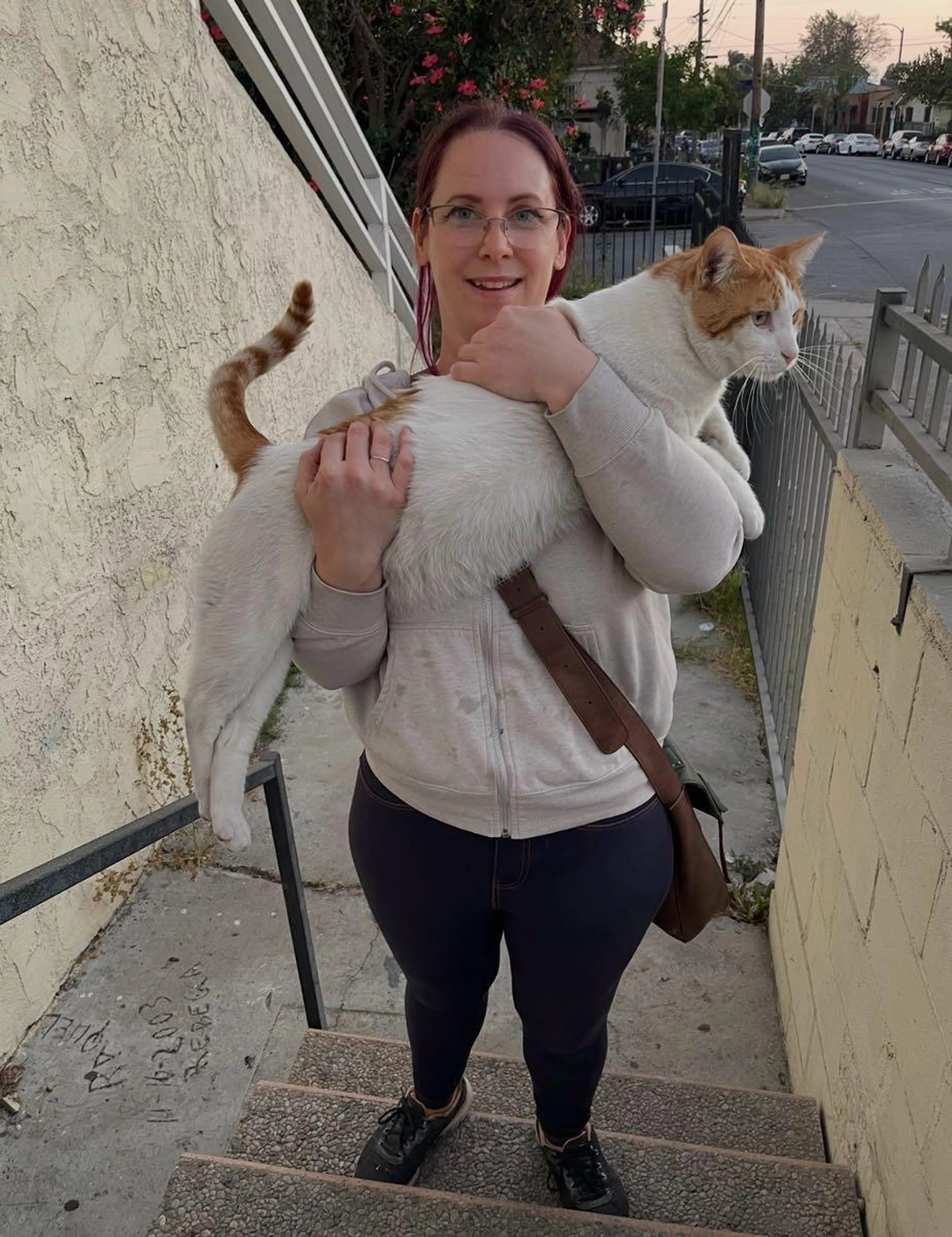 Lost pet