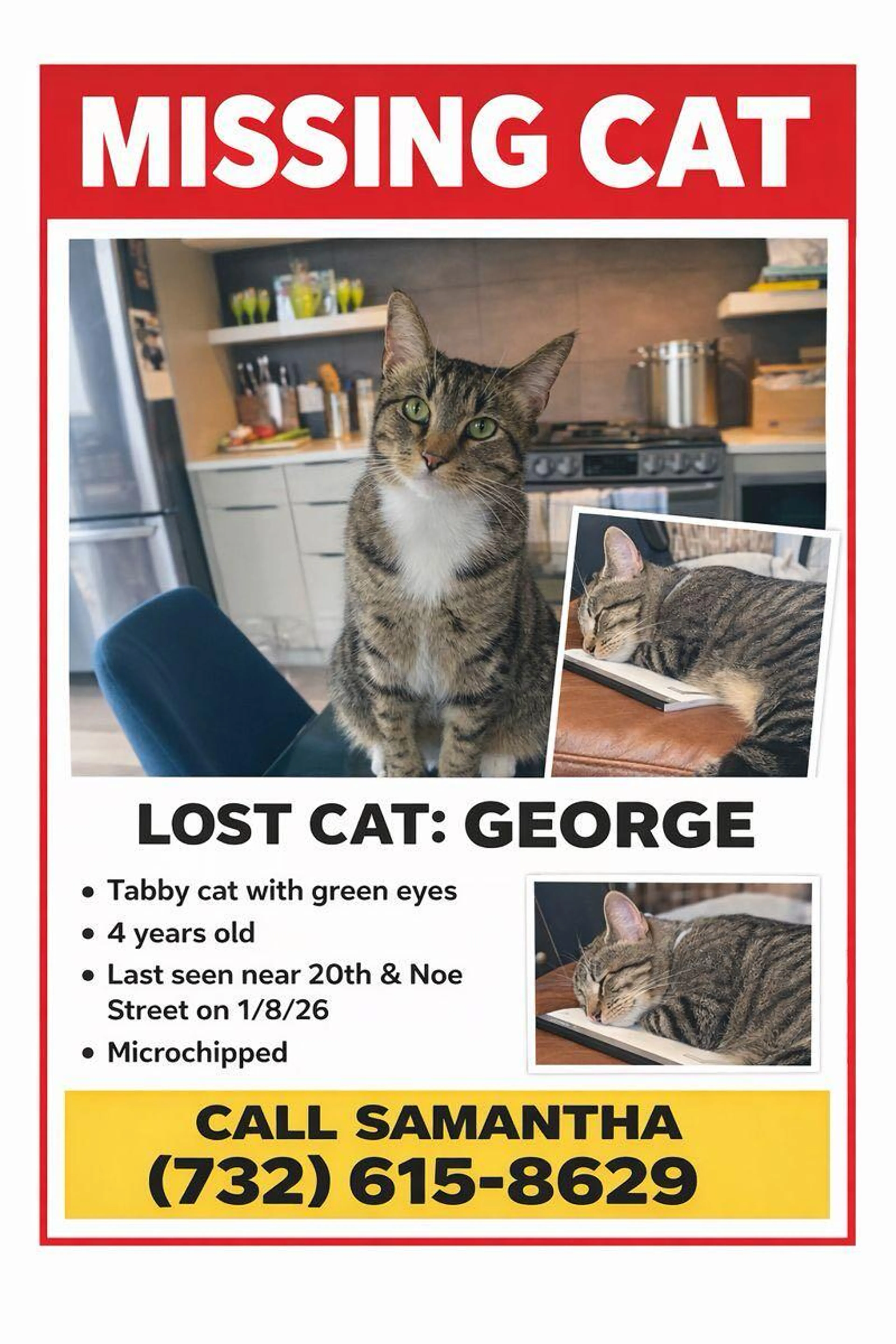 Lost pet