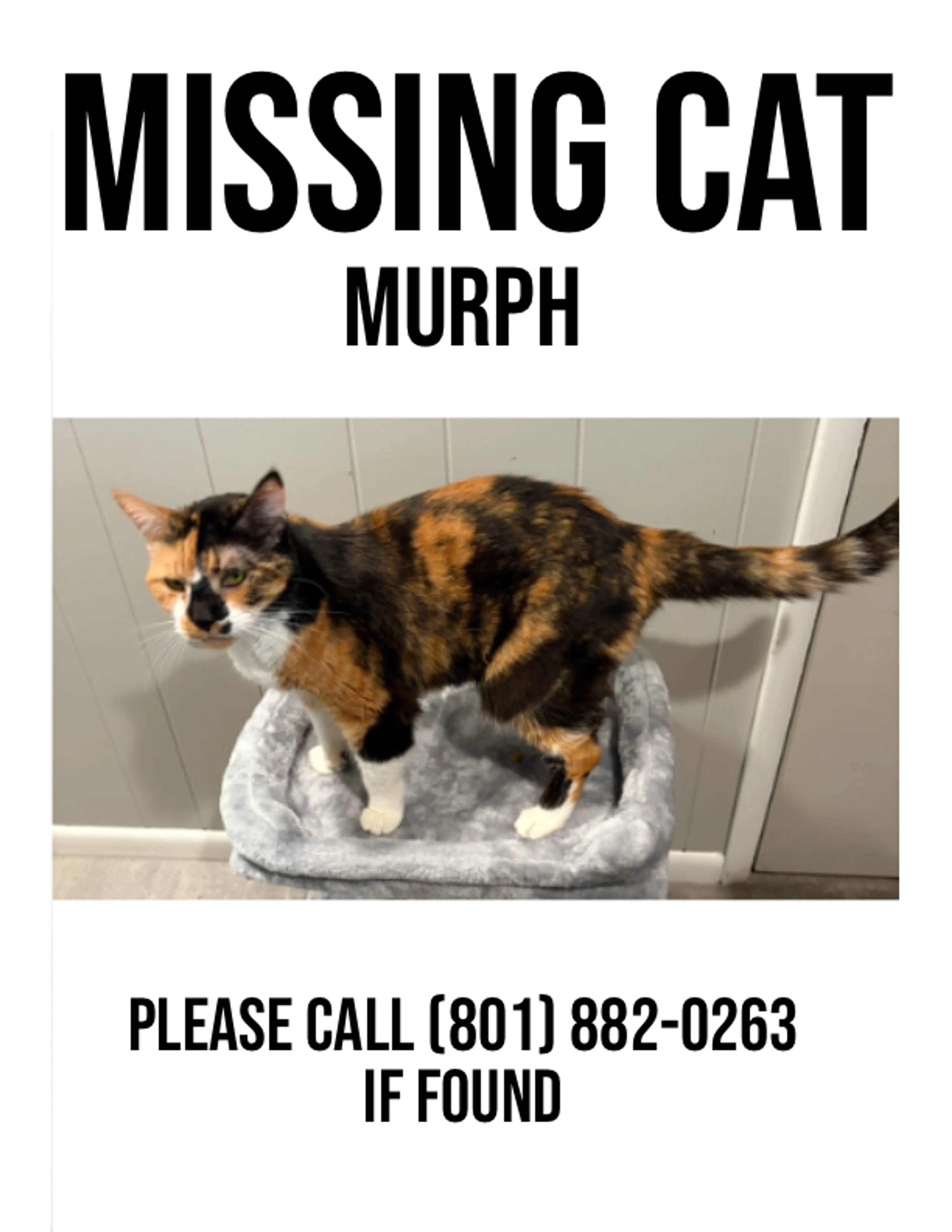 cdn image