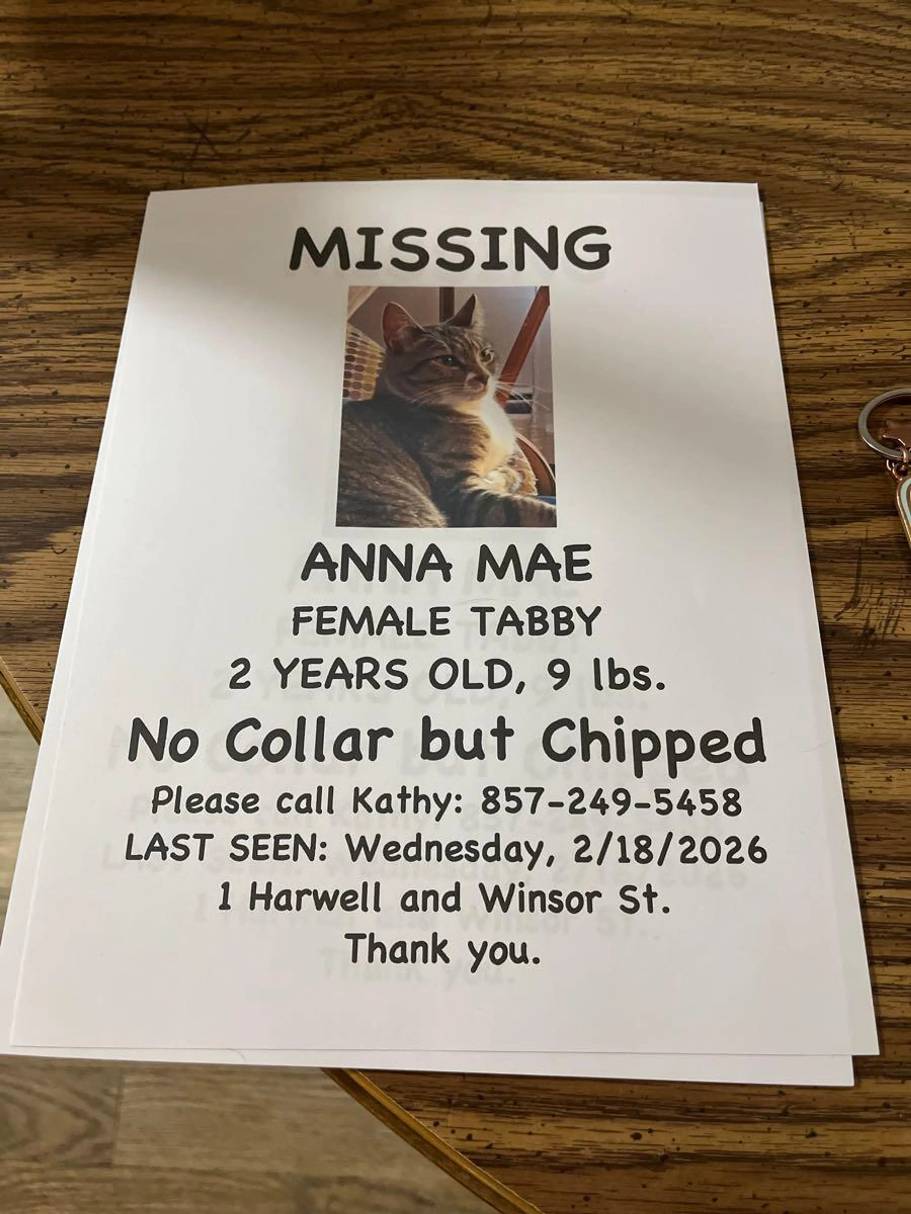 Lost pet