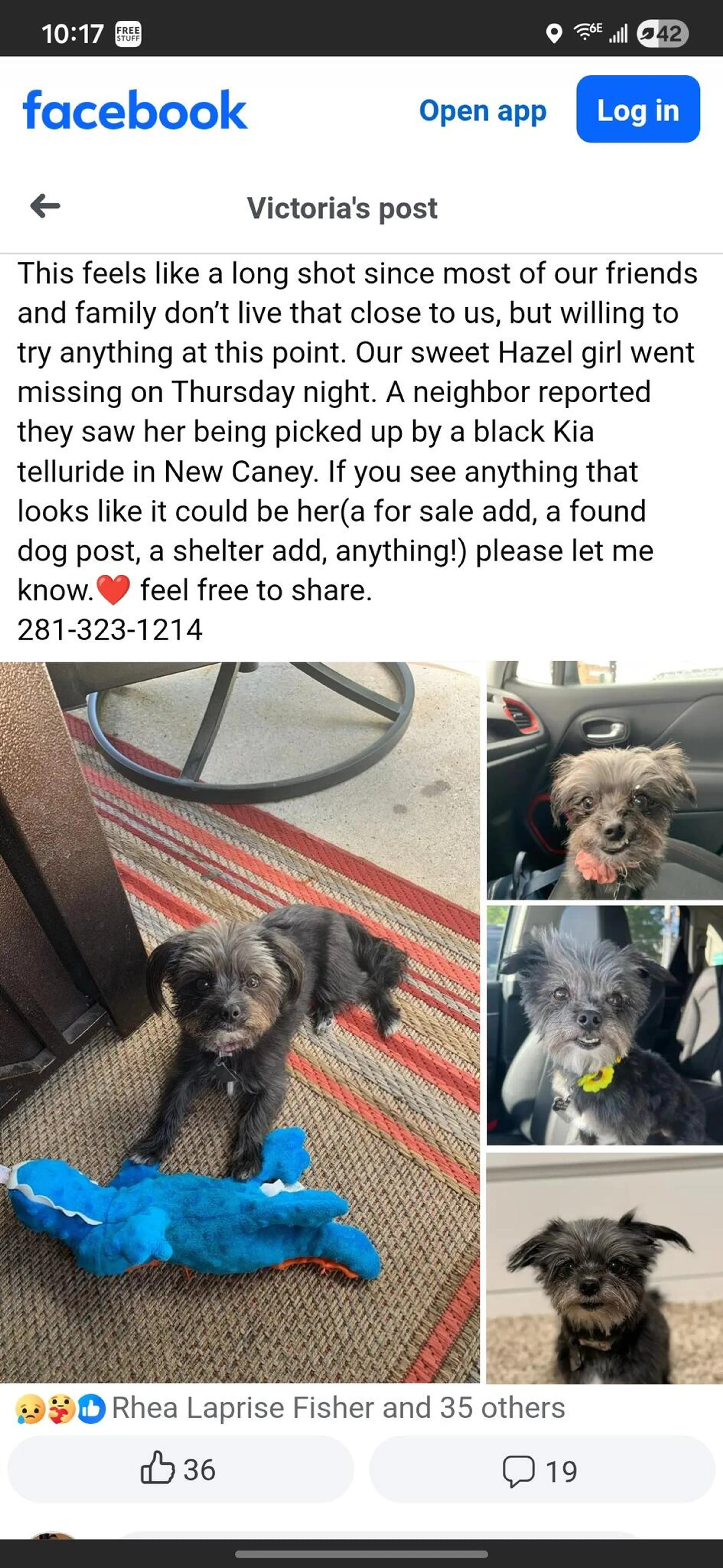 Lost pet