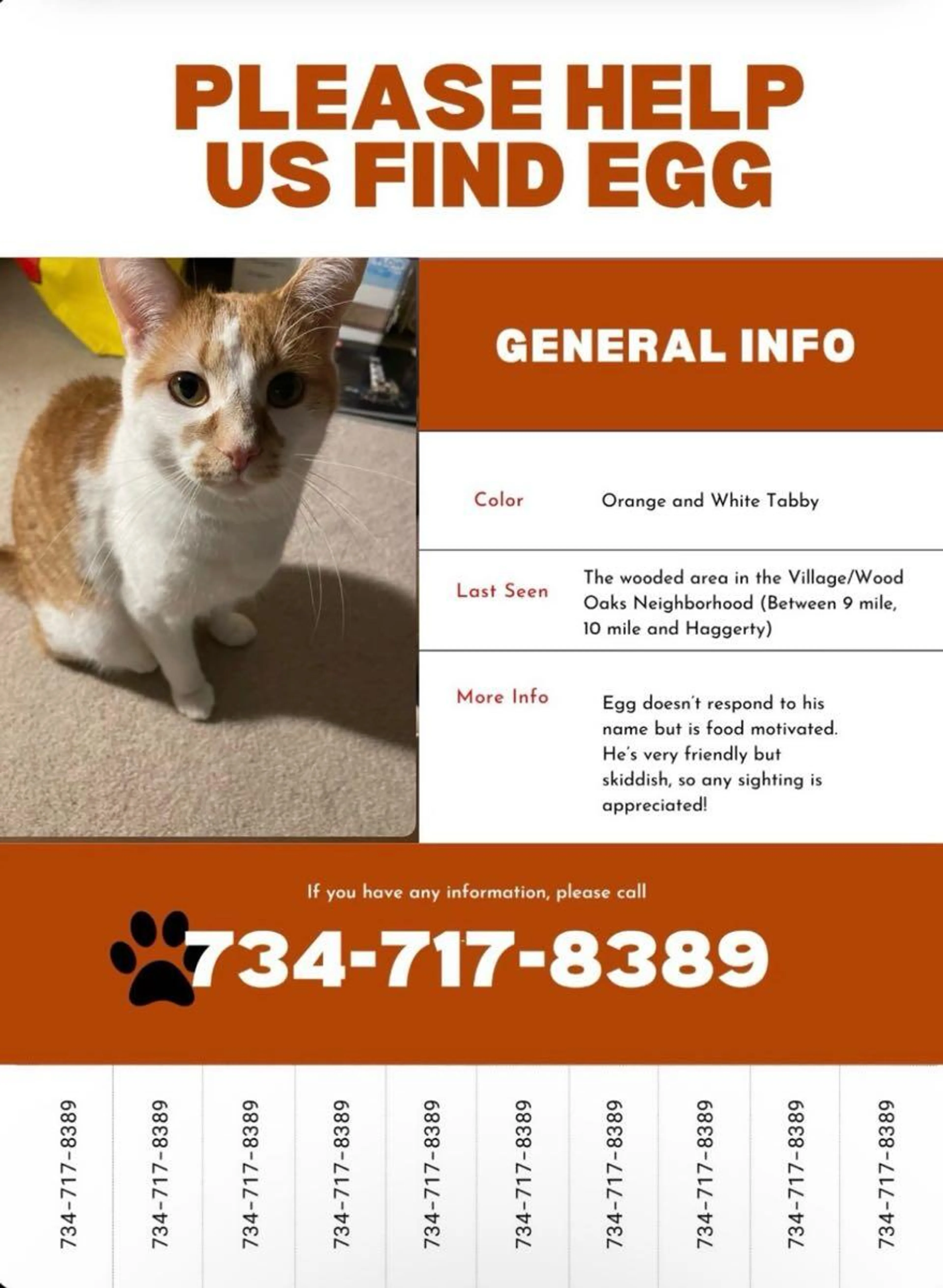 Lost pet