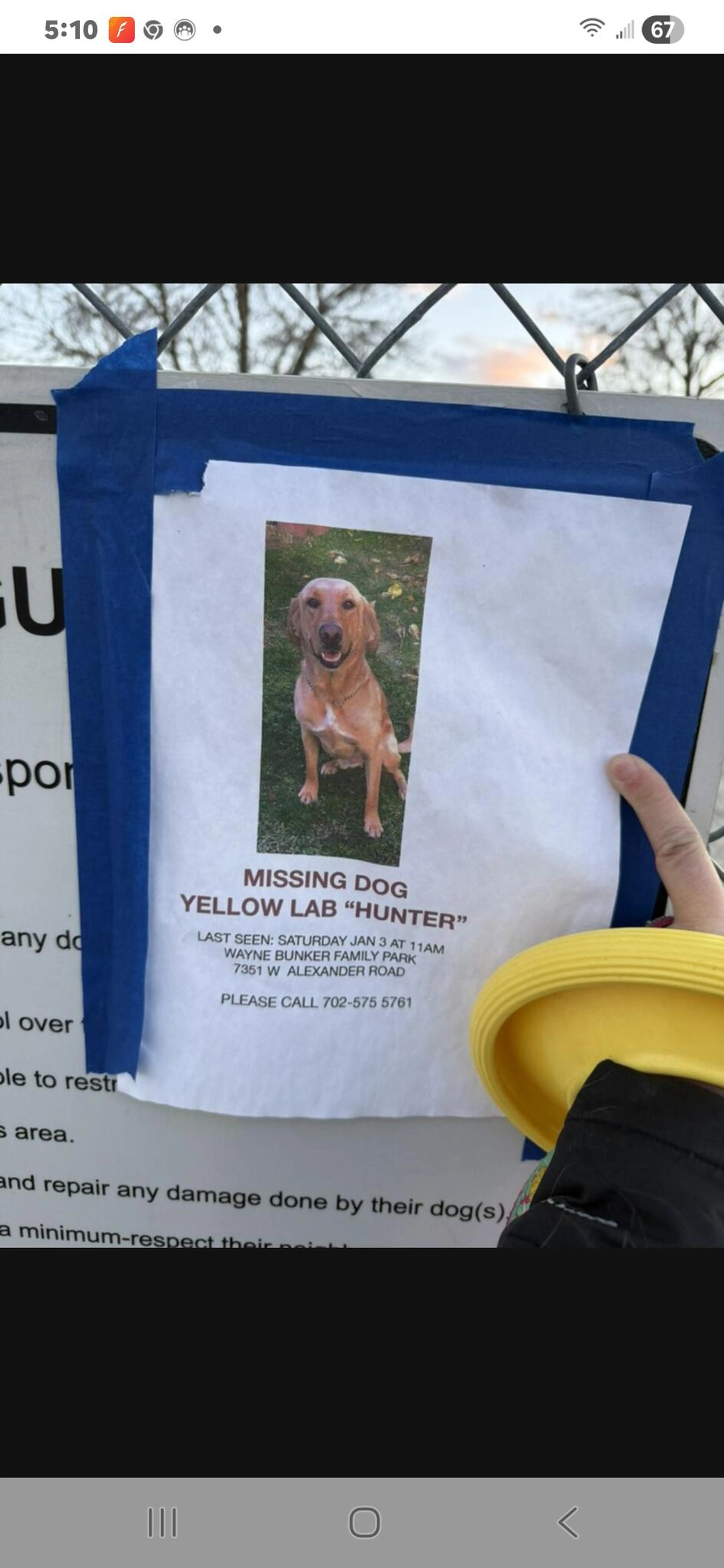 Lost pet