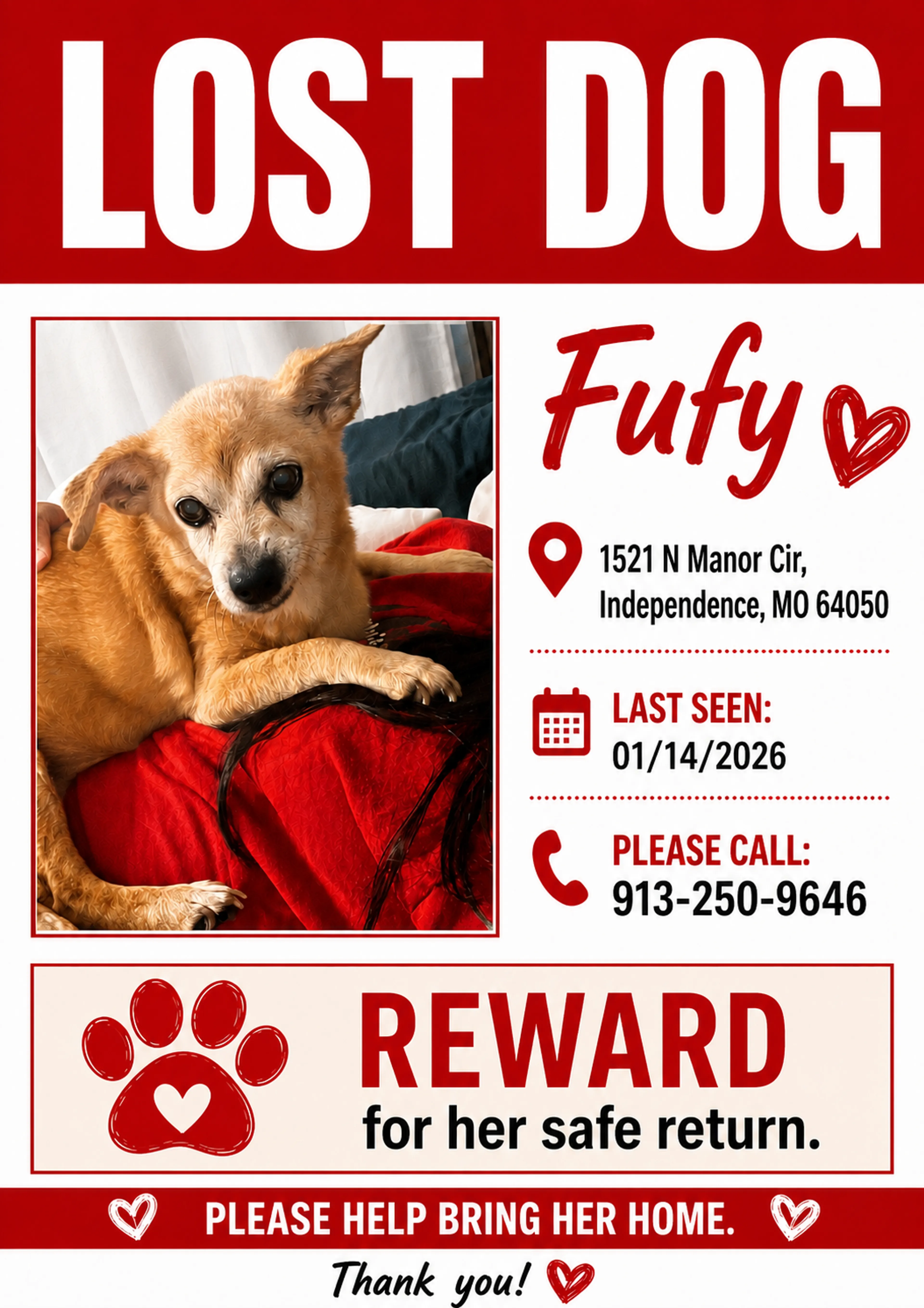 Found pet