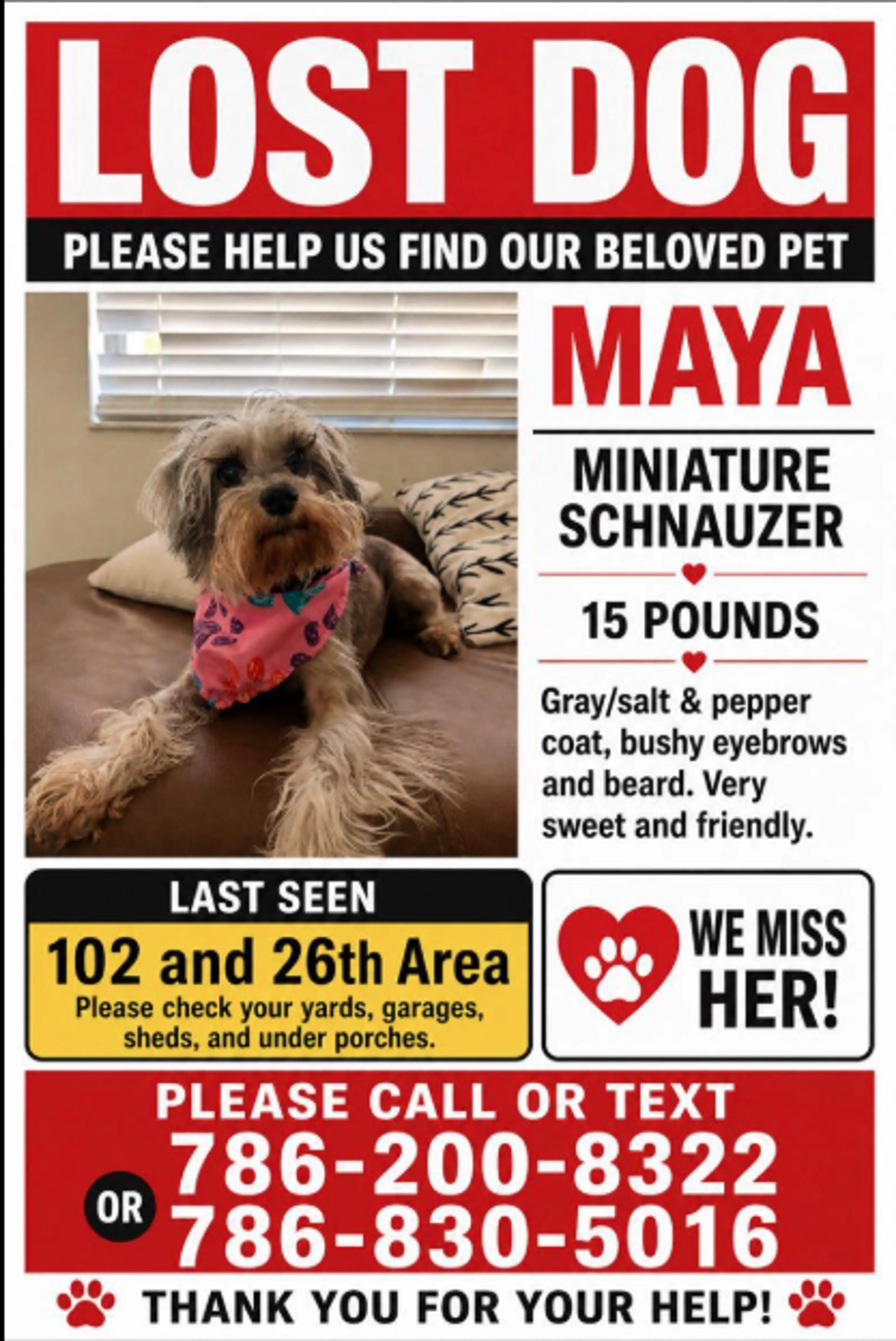 Lost pet