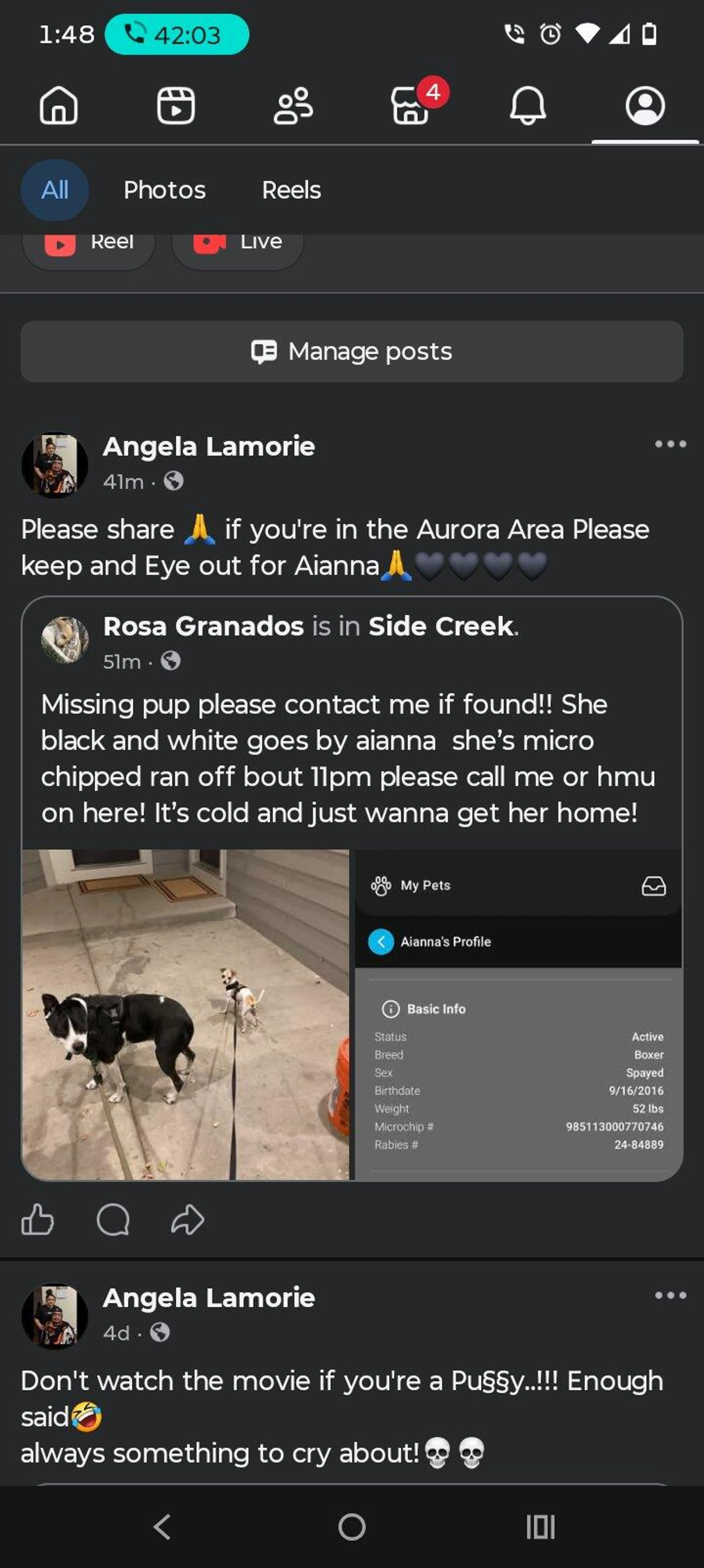 Lost pet