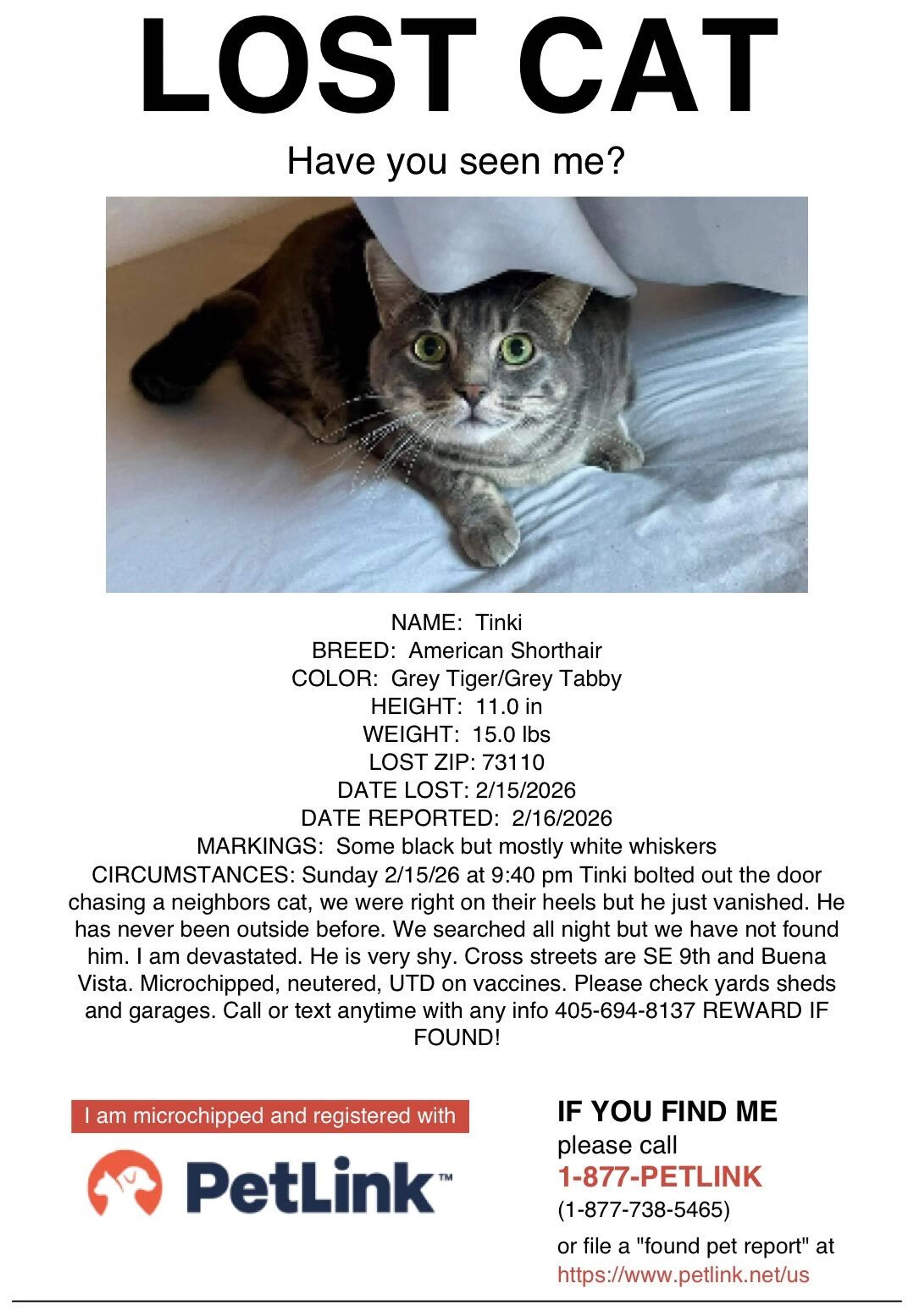 Lost pet
