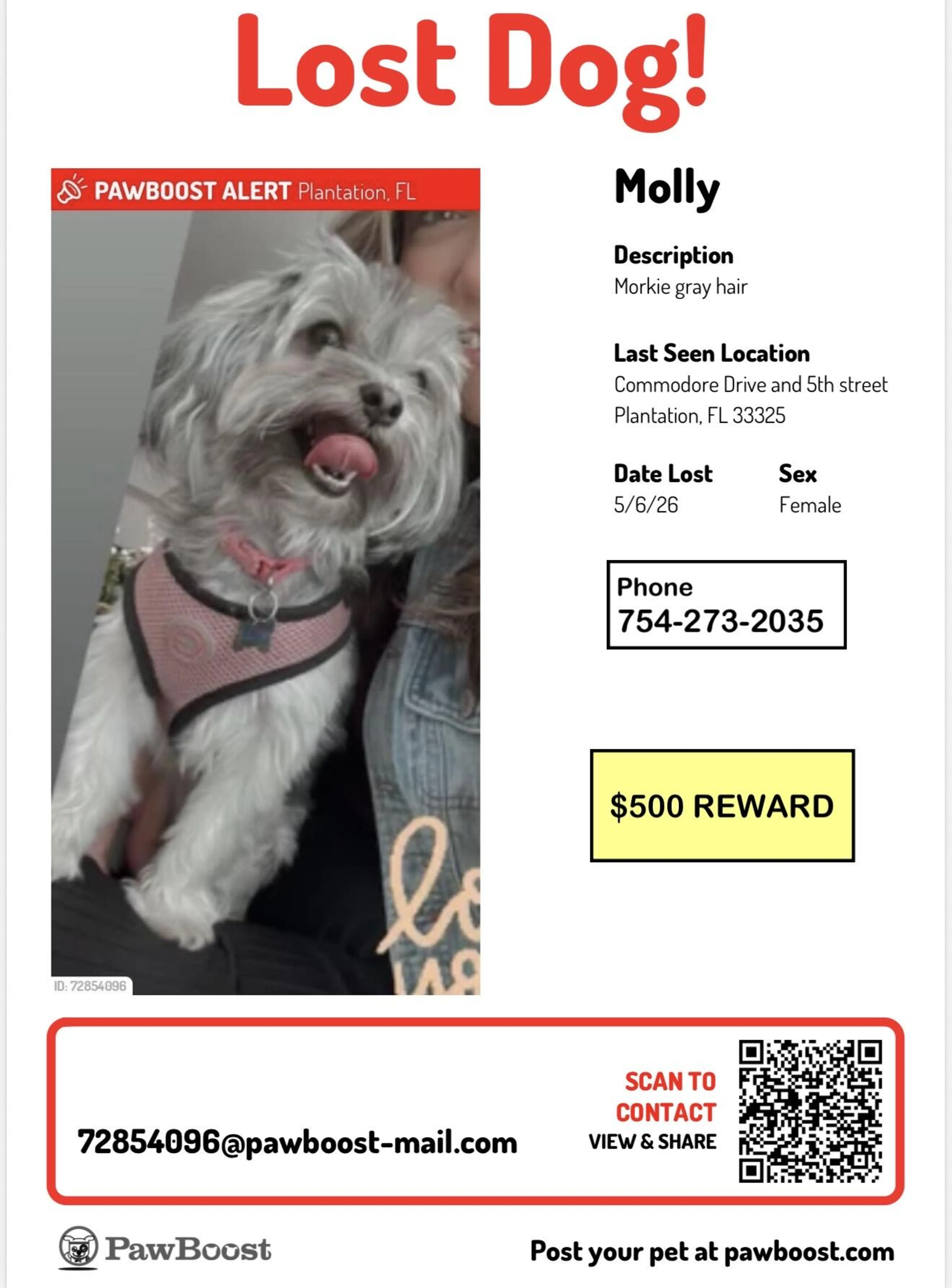 Lost pet