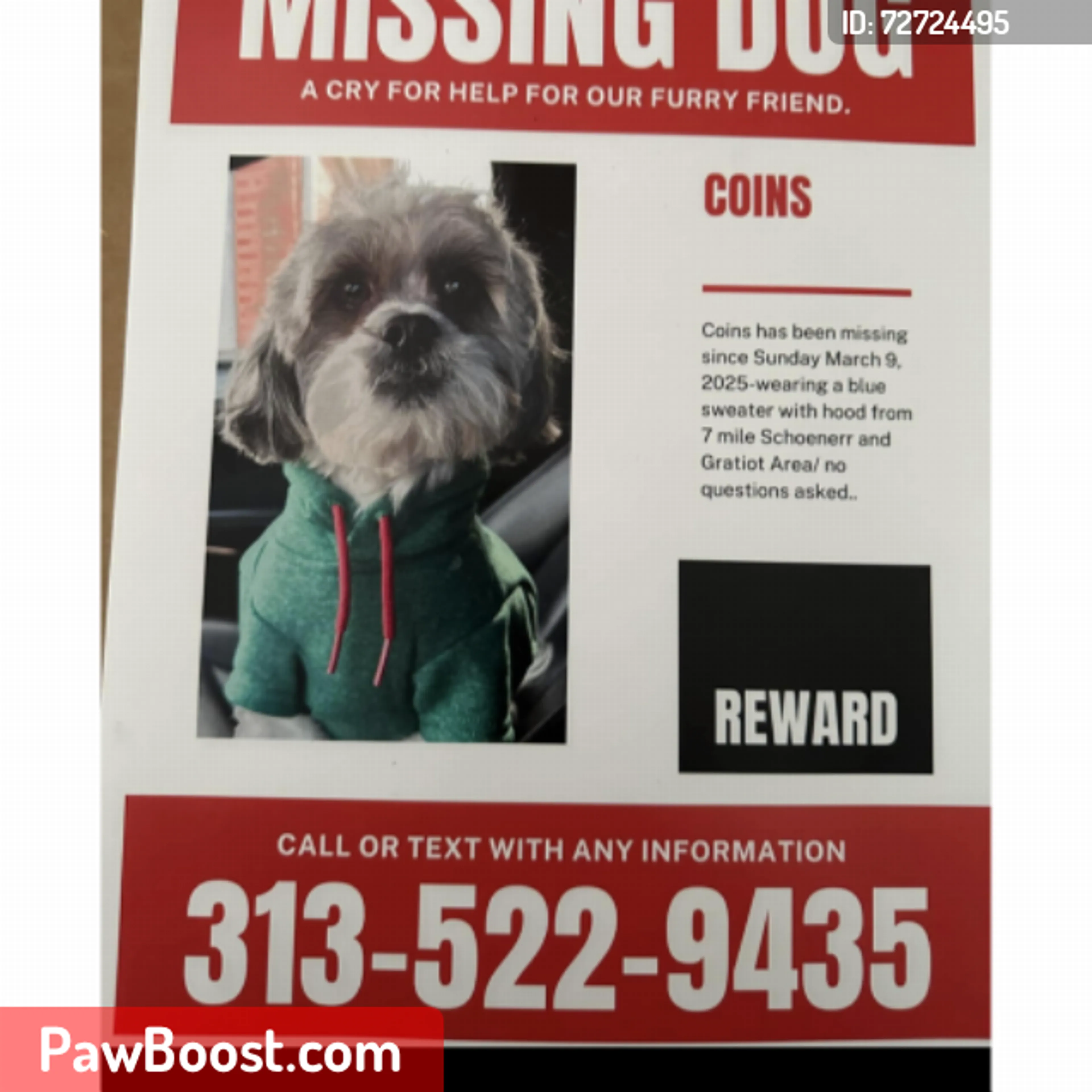 Lost pet