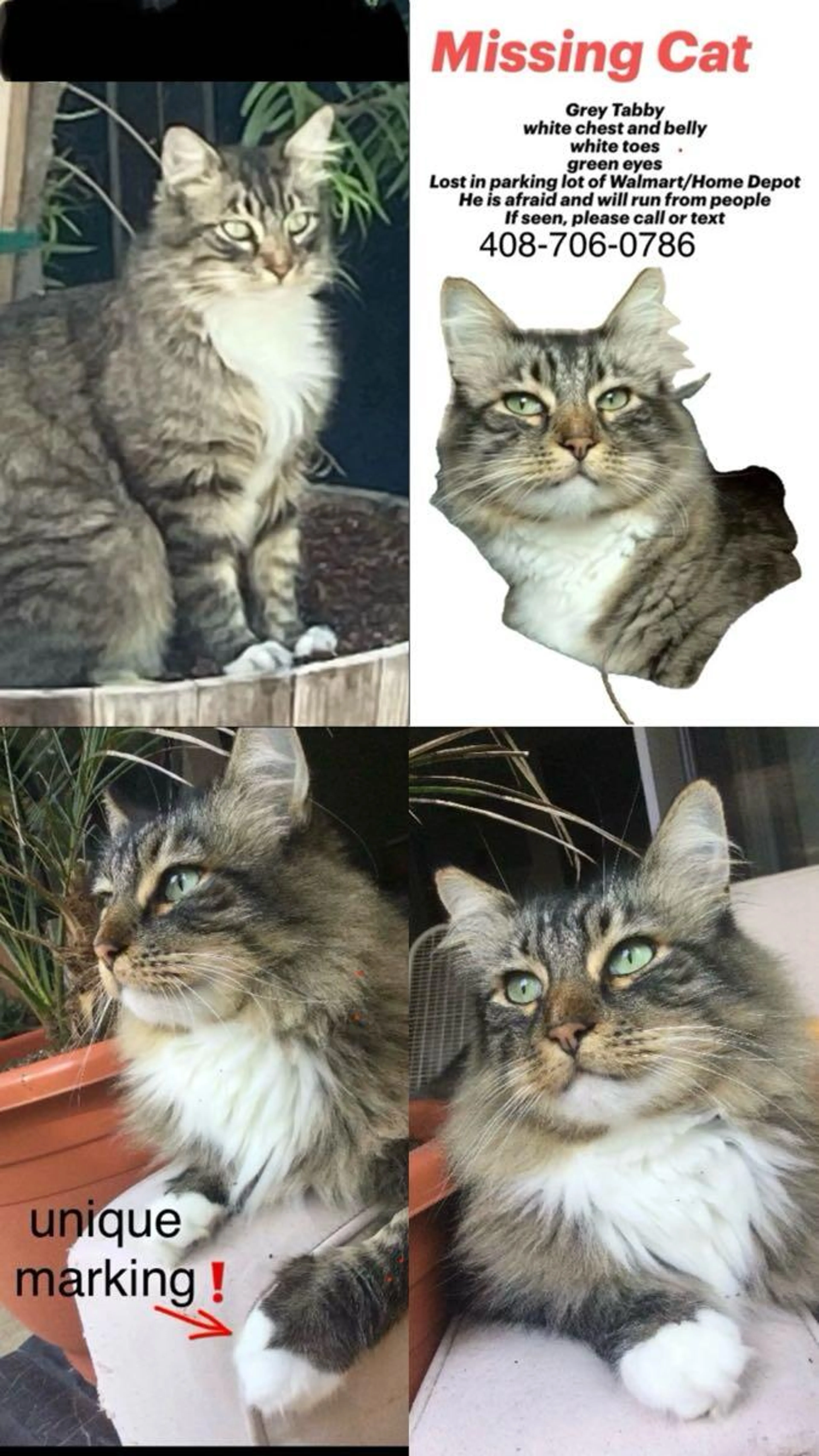 cdn image