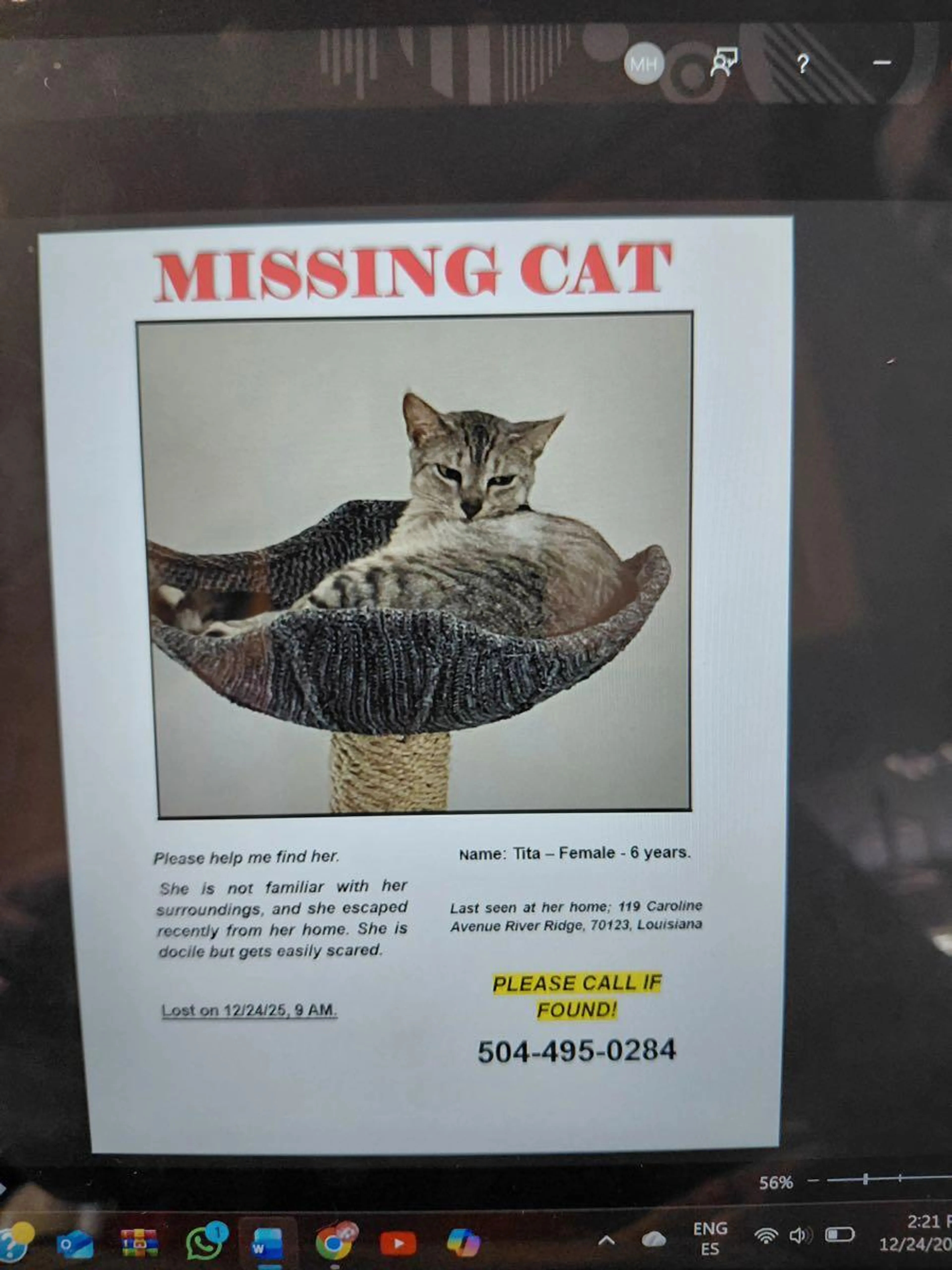 Lost pet