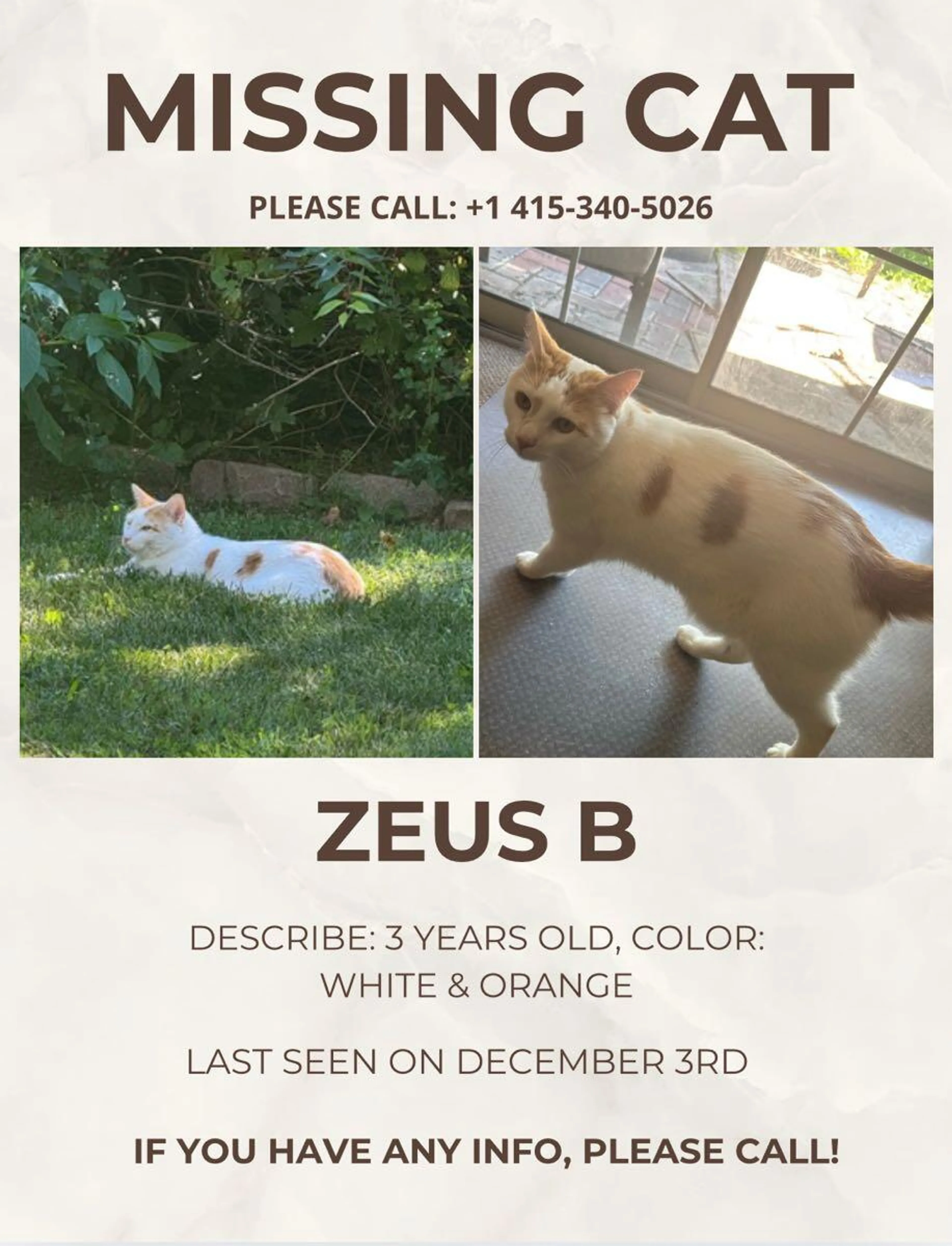 Lost pet