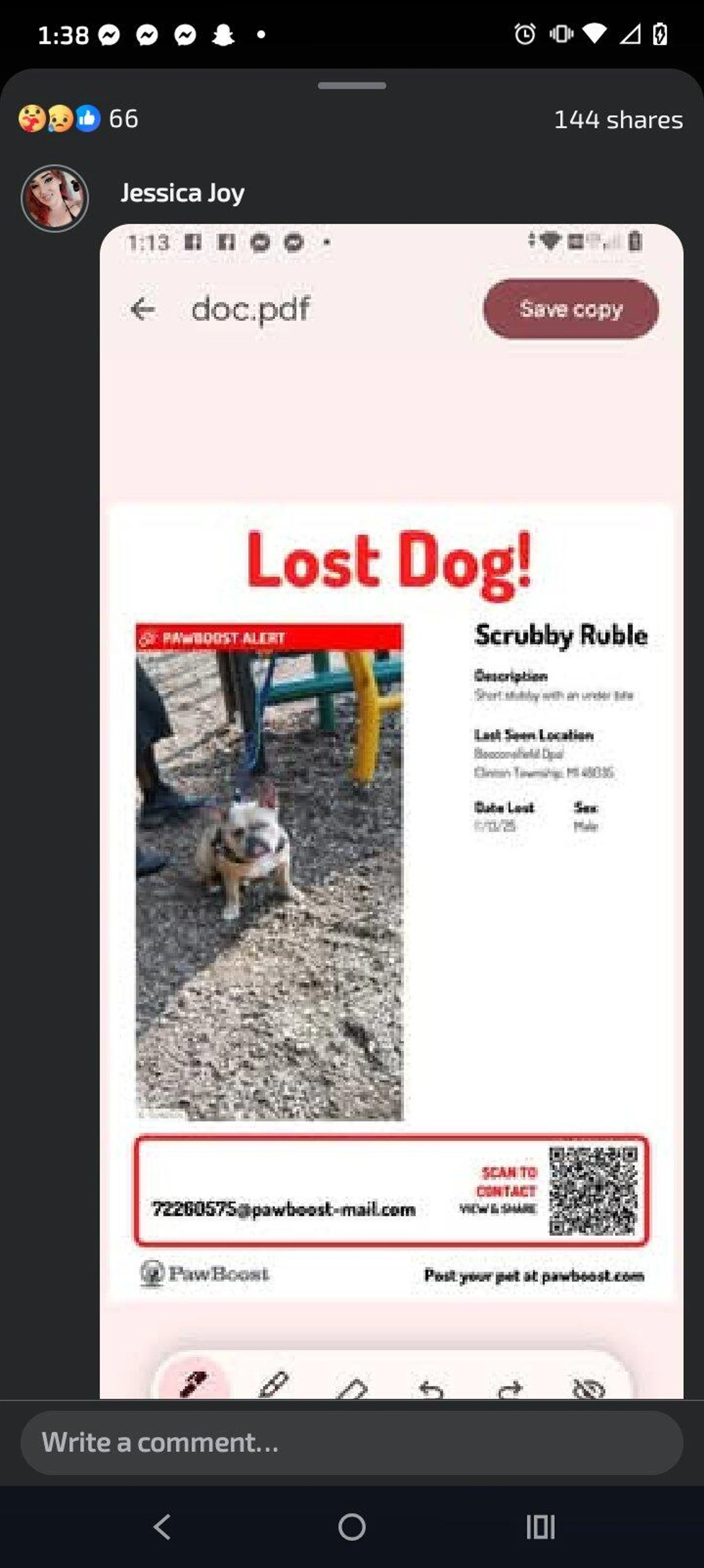 Lost pet