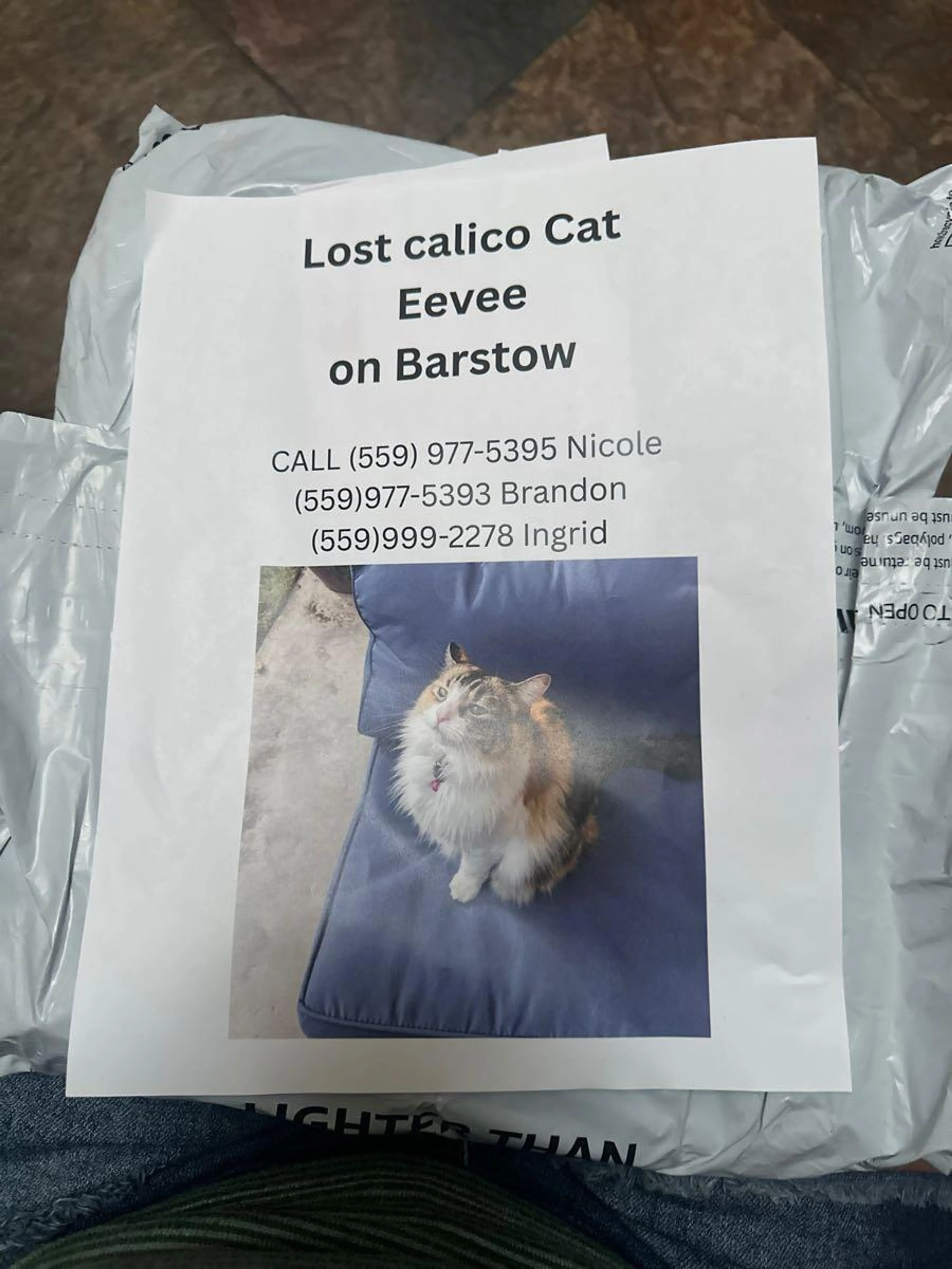 Lost pet