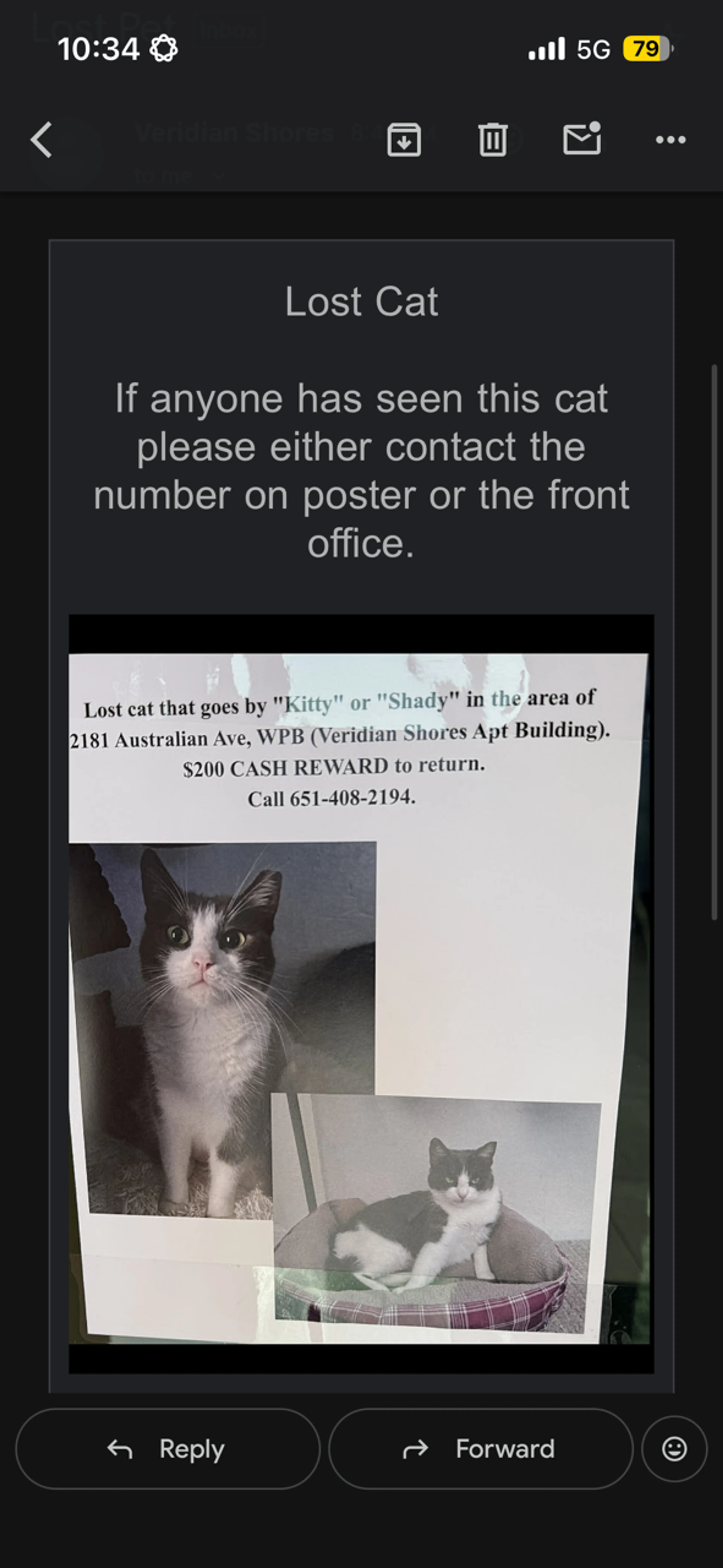 Lost pet
