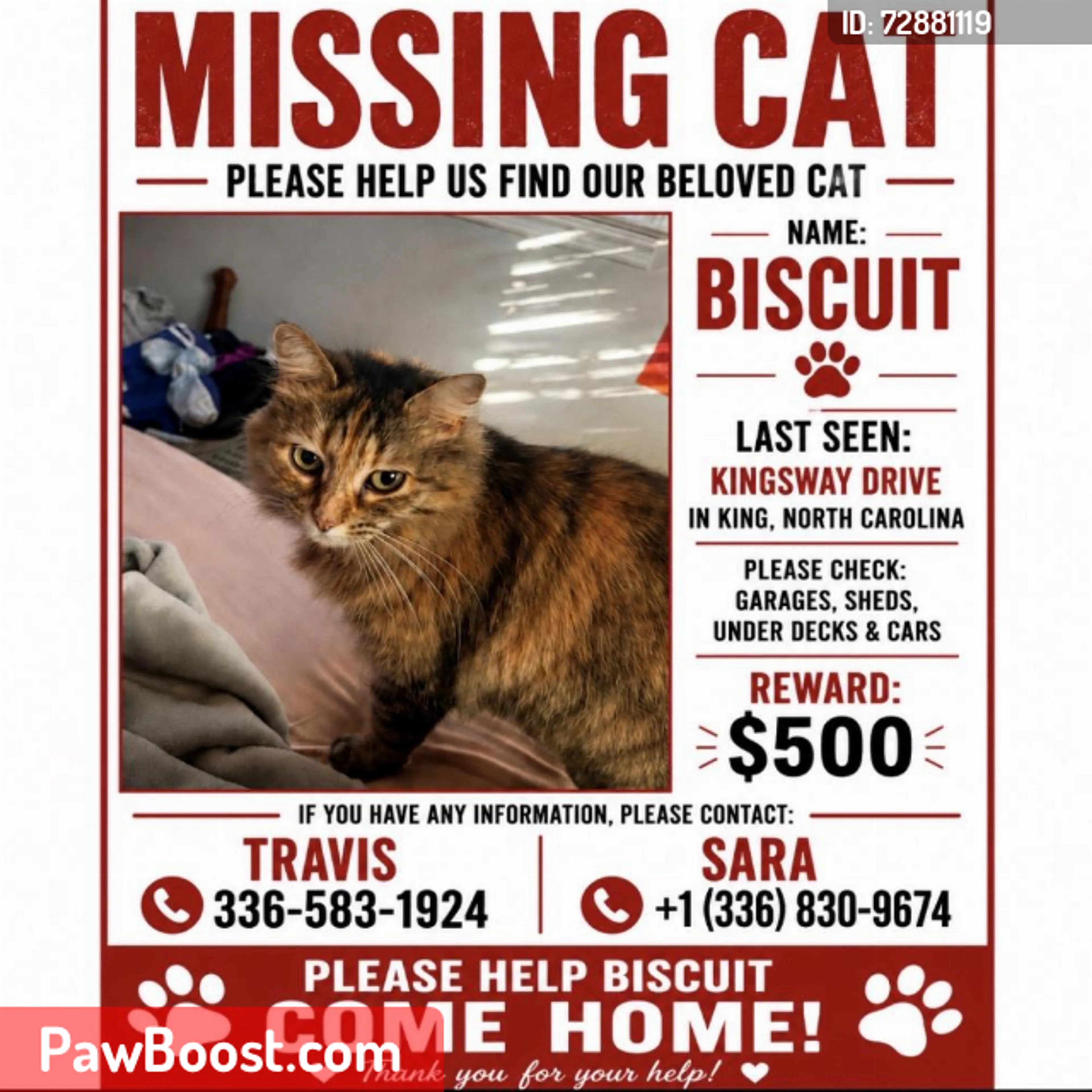 Lost pet
