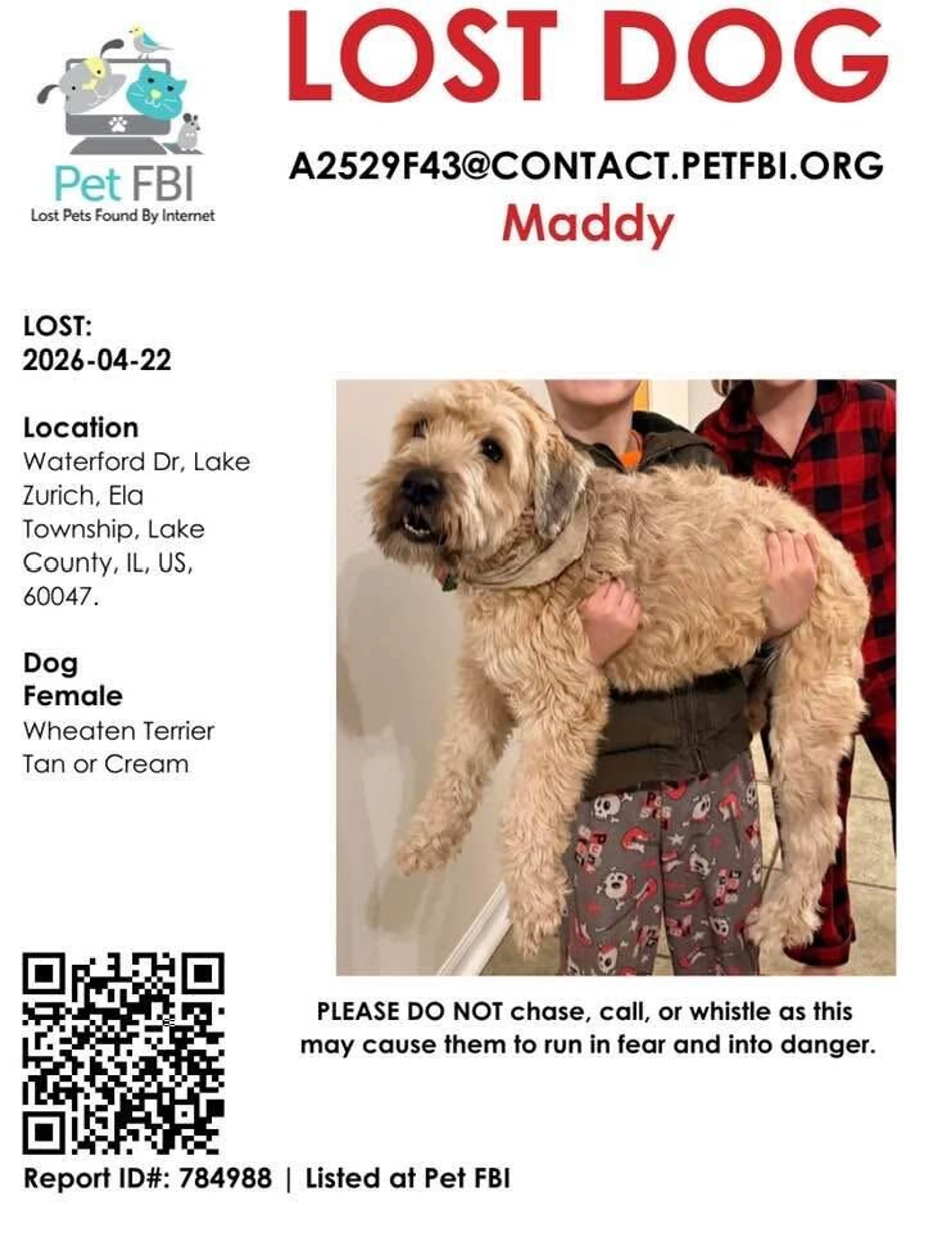 Lost pet