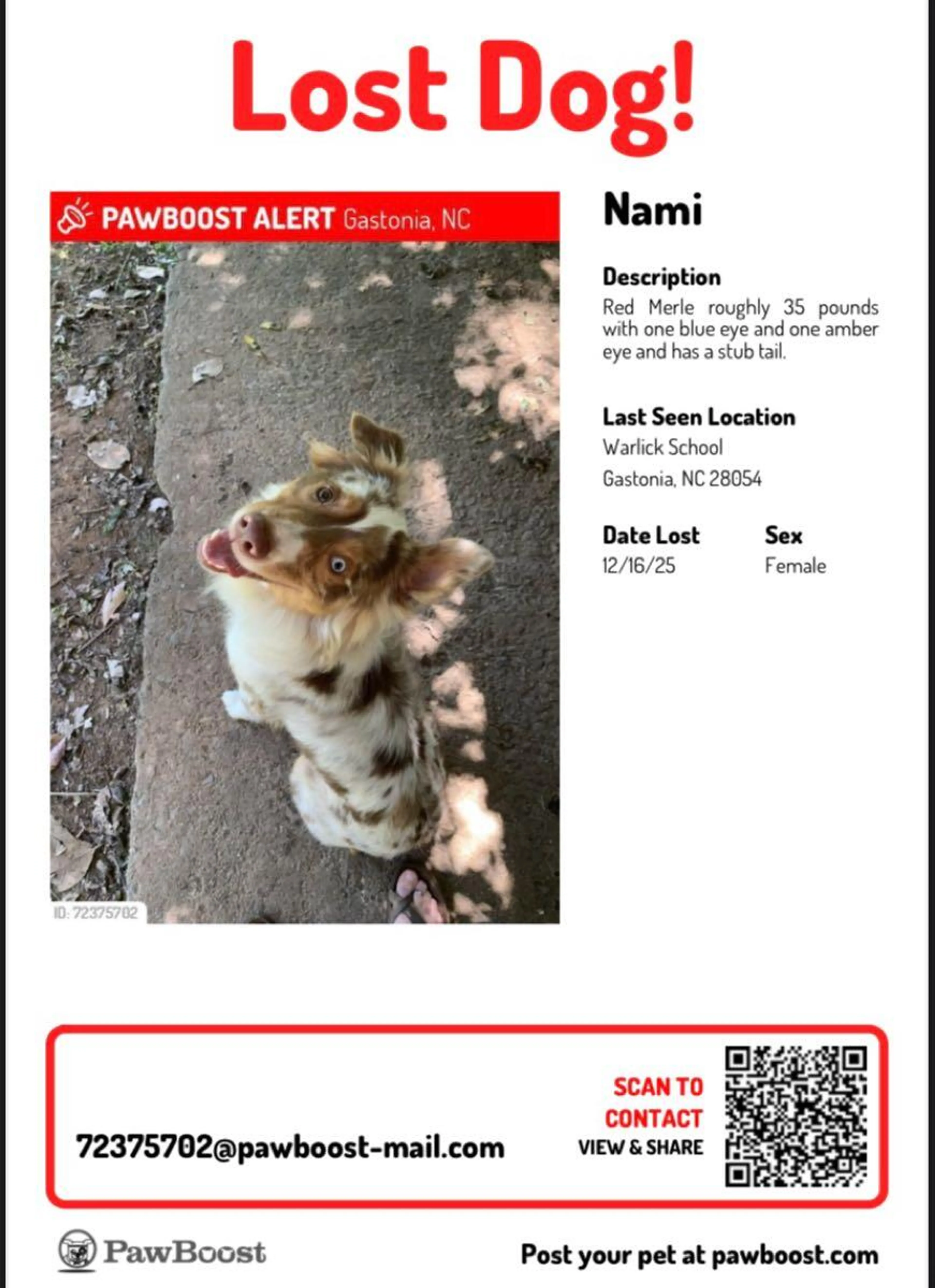 Found pet