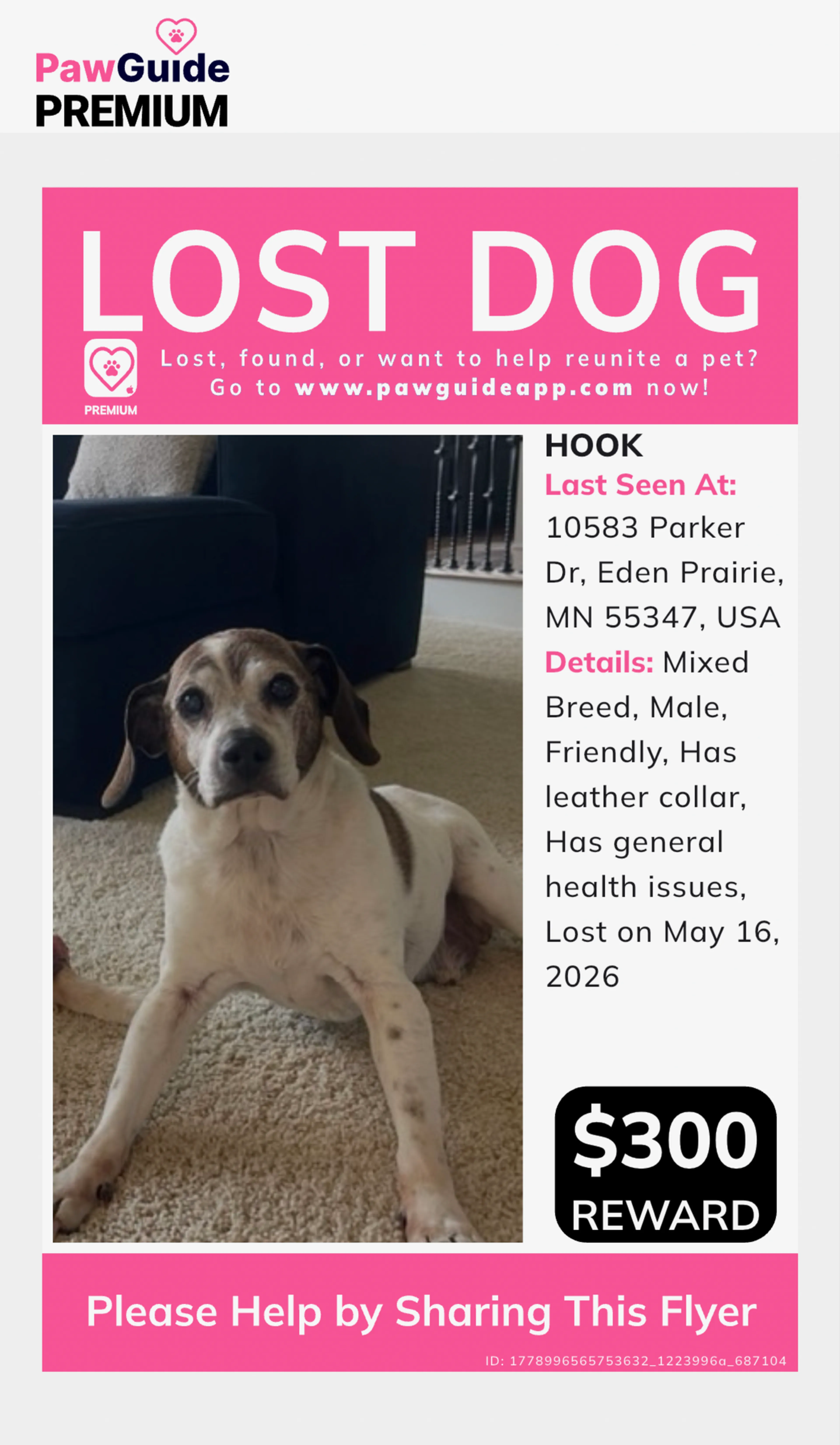 Lost pet