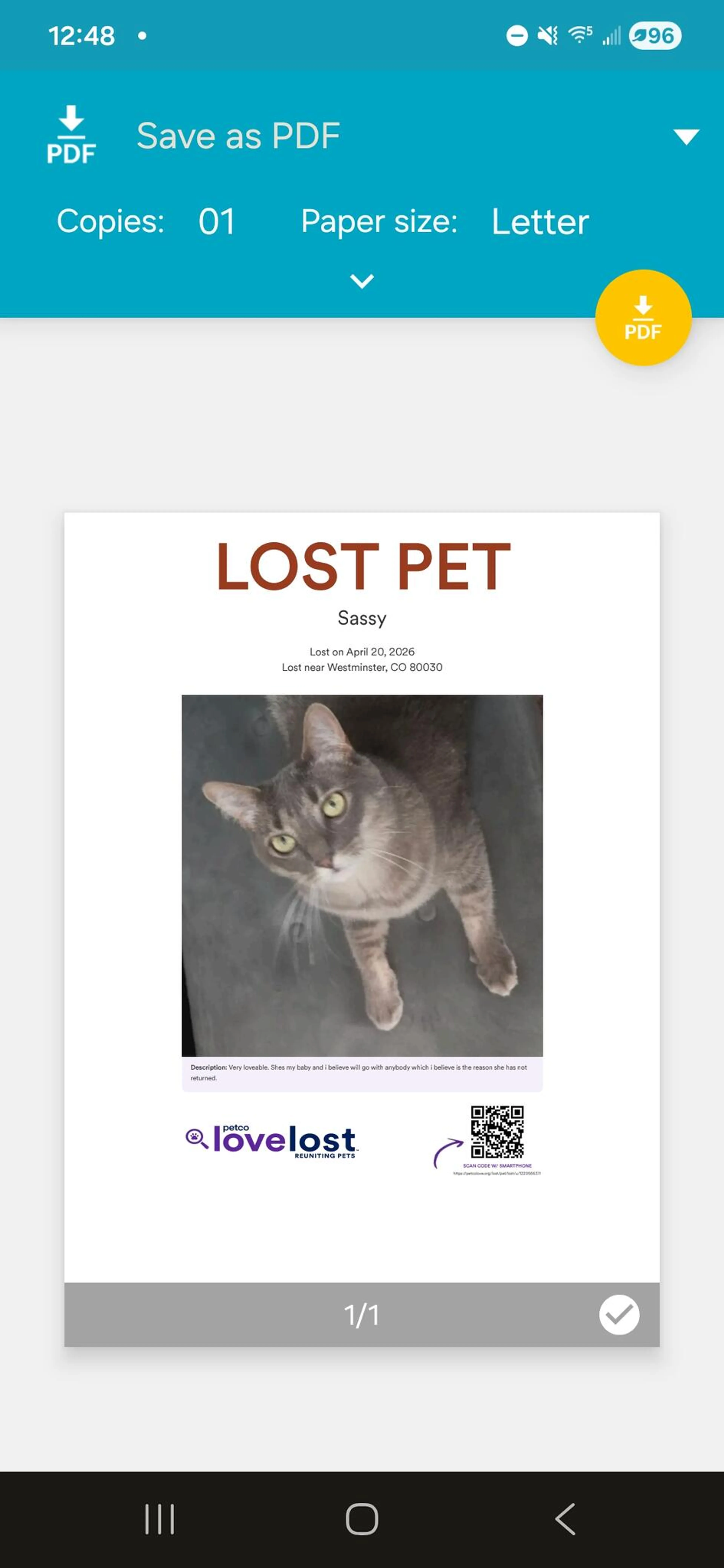 Lost pet