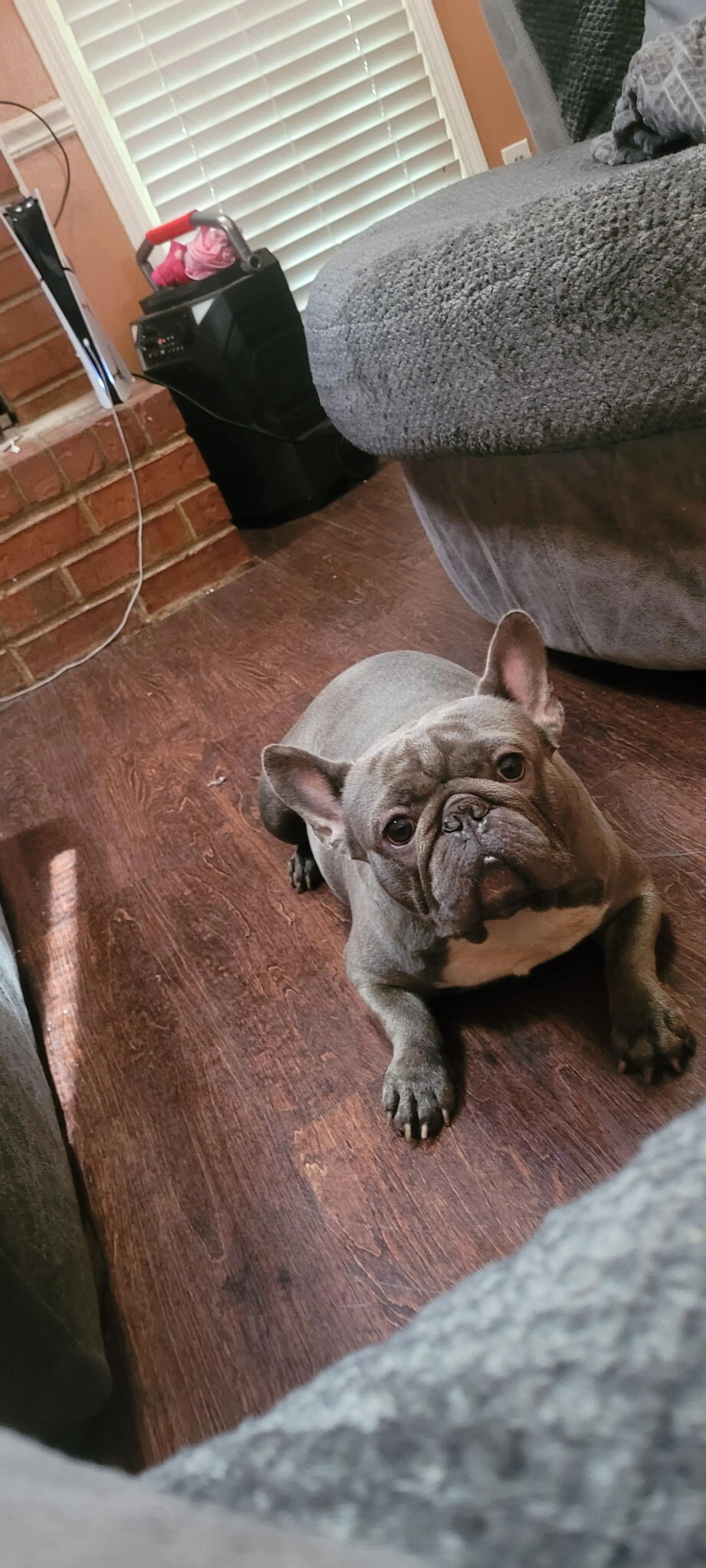 cdn image