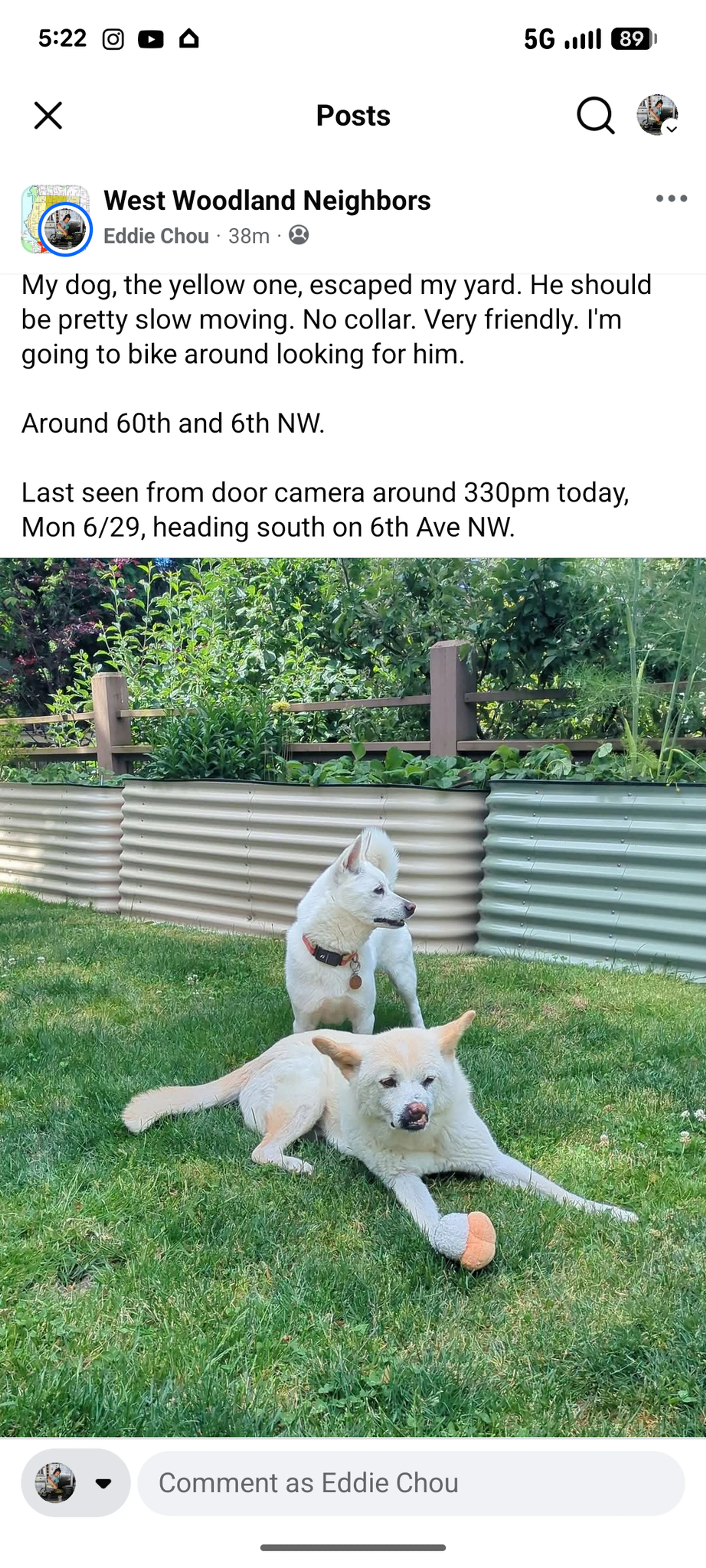 cdn image