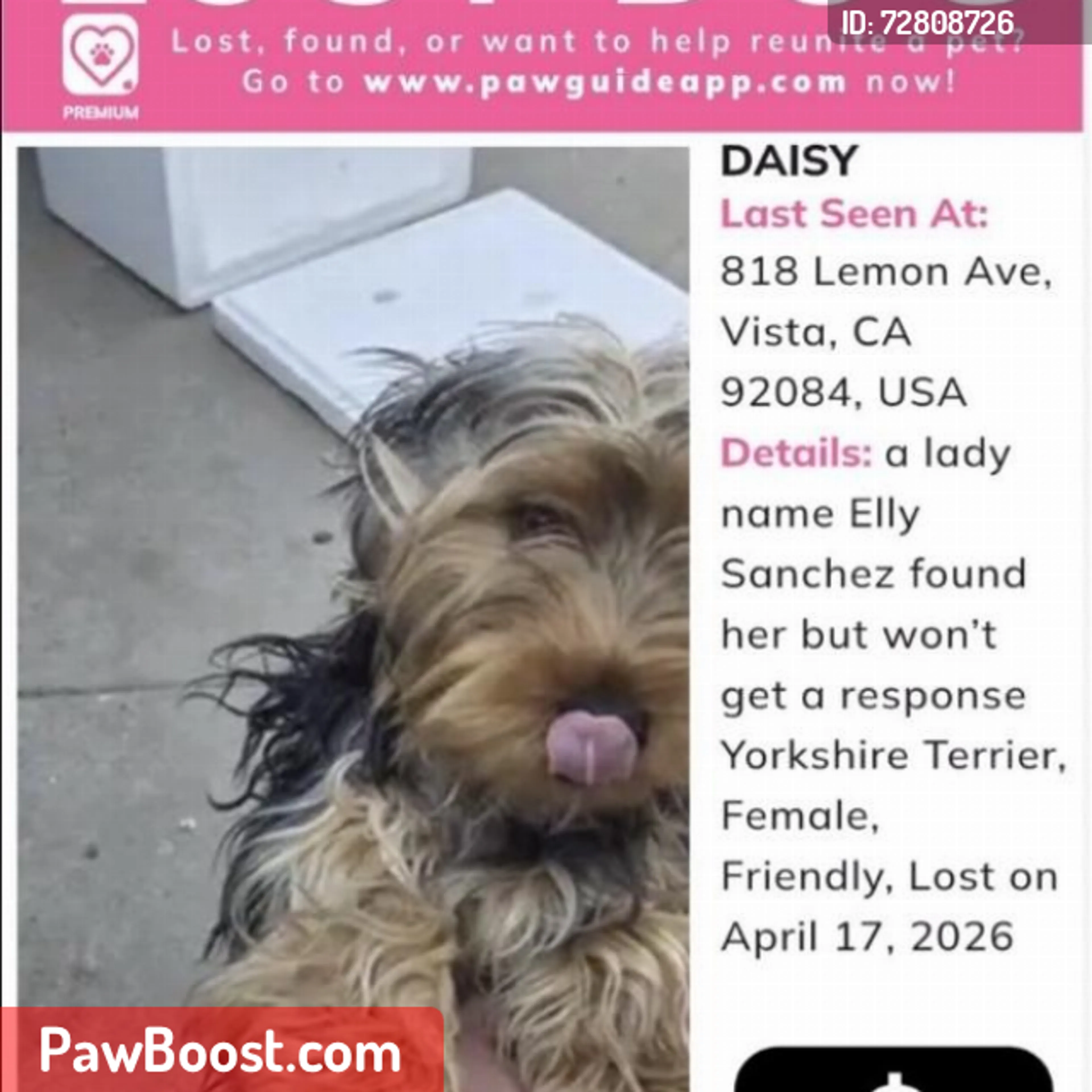 Lost pet