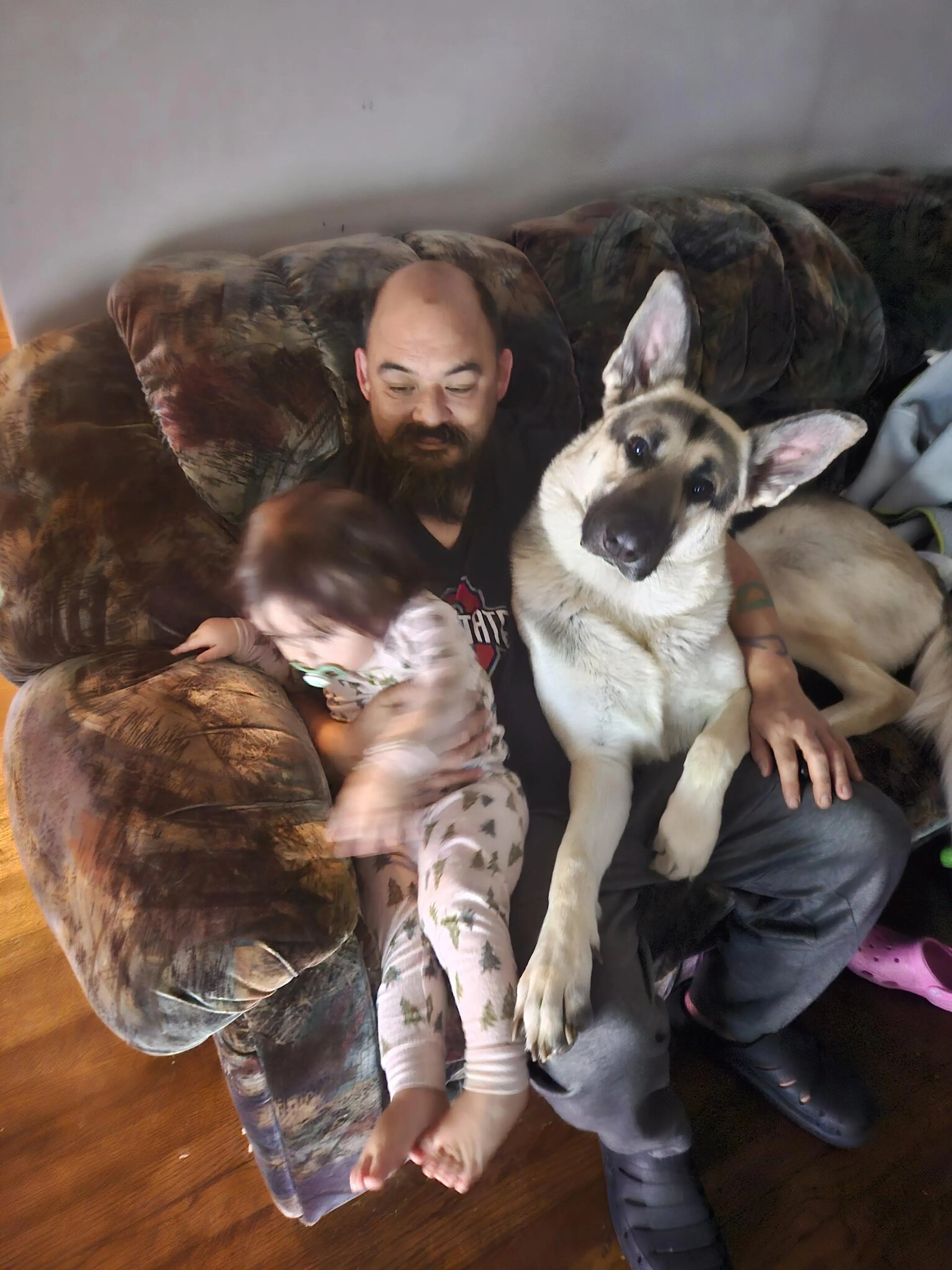 Lost pet