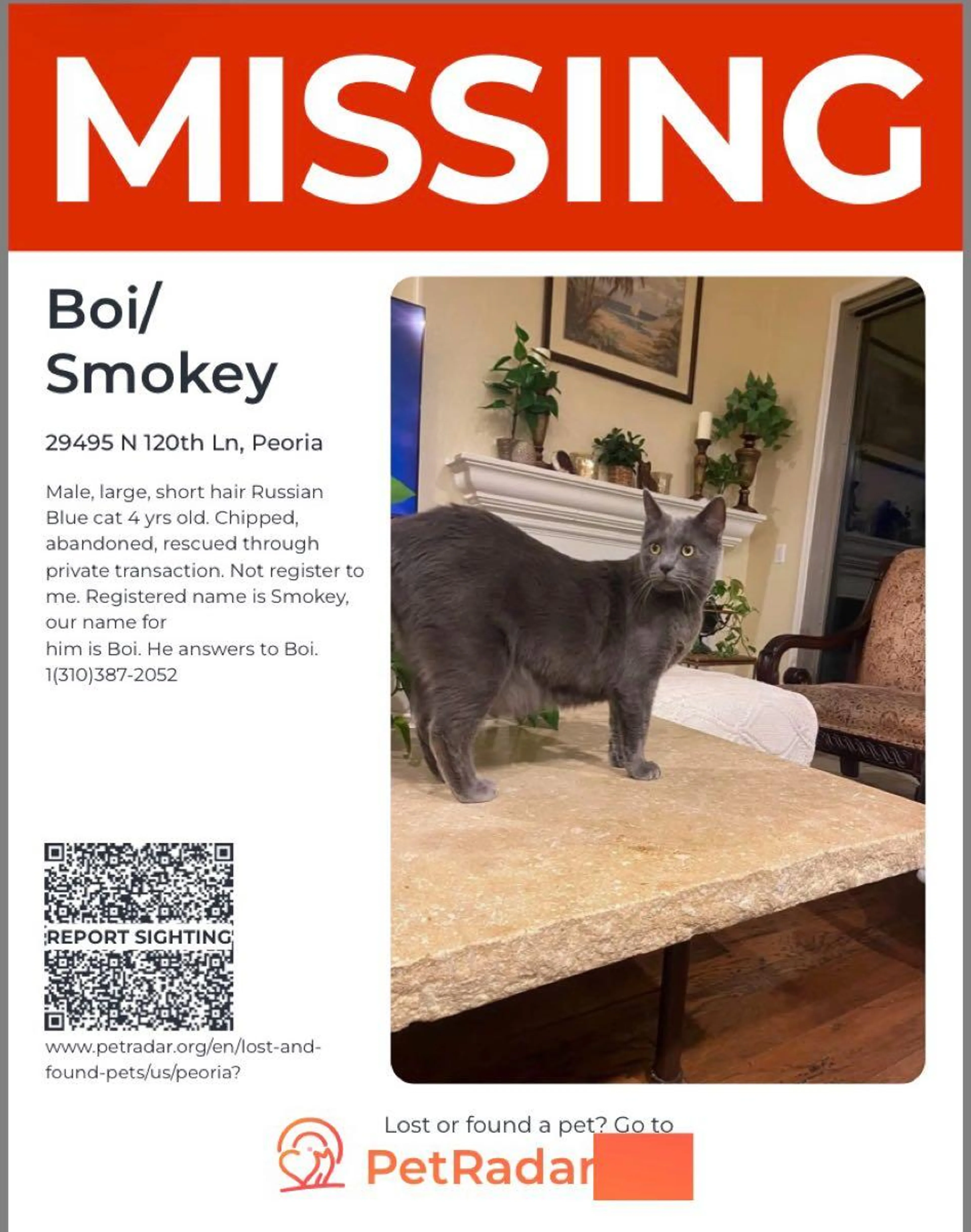 Lost pet