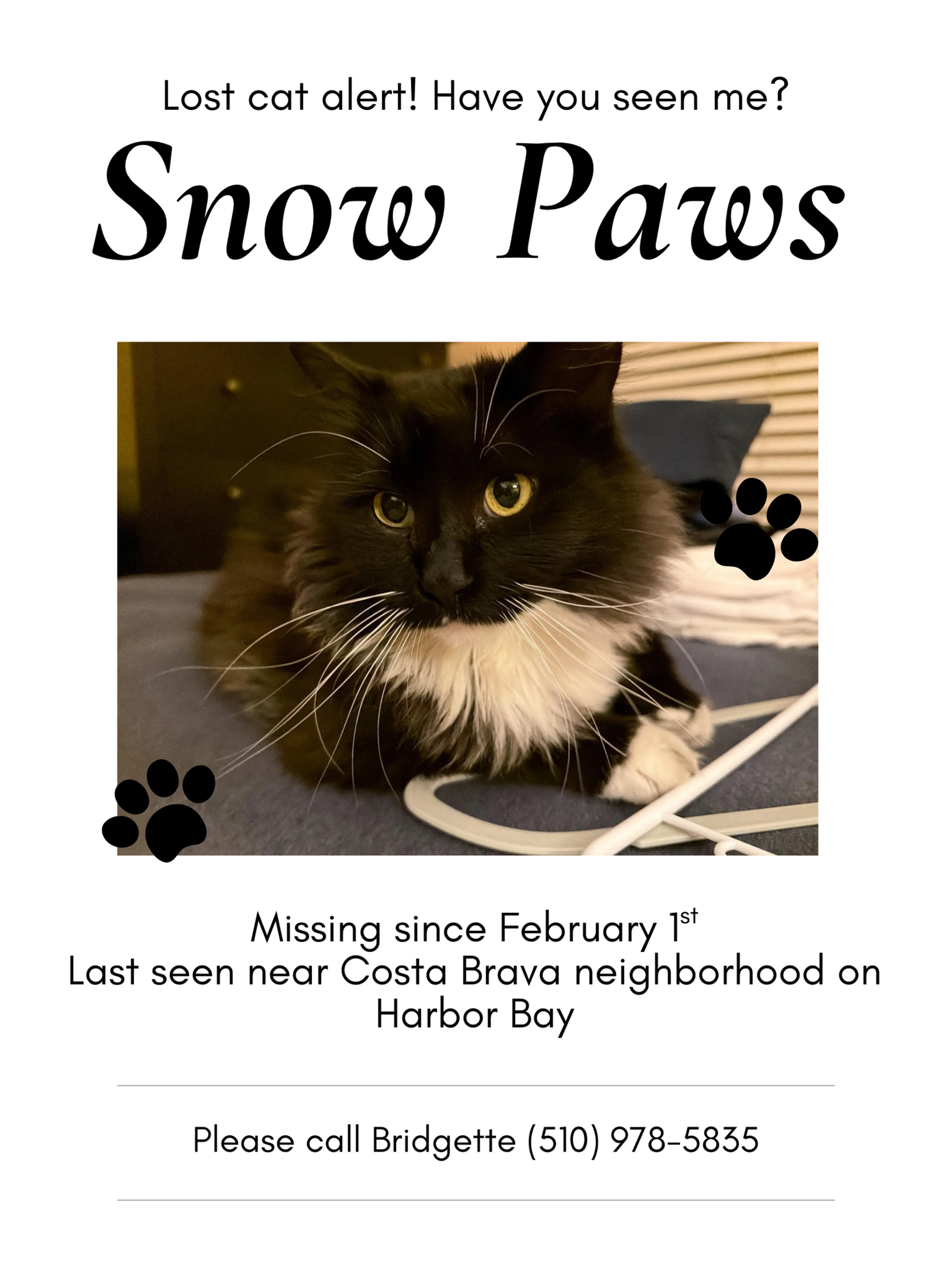 Lost pet