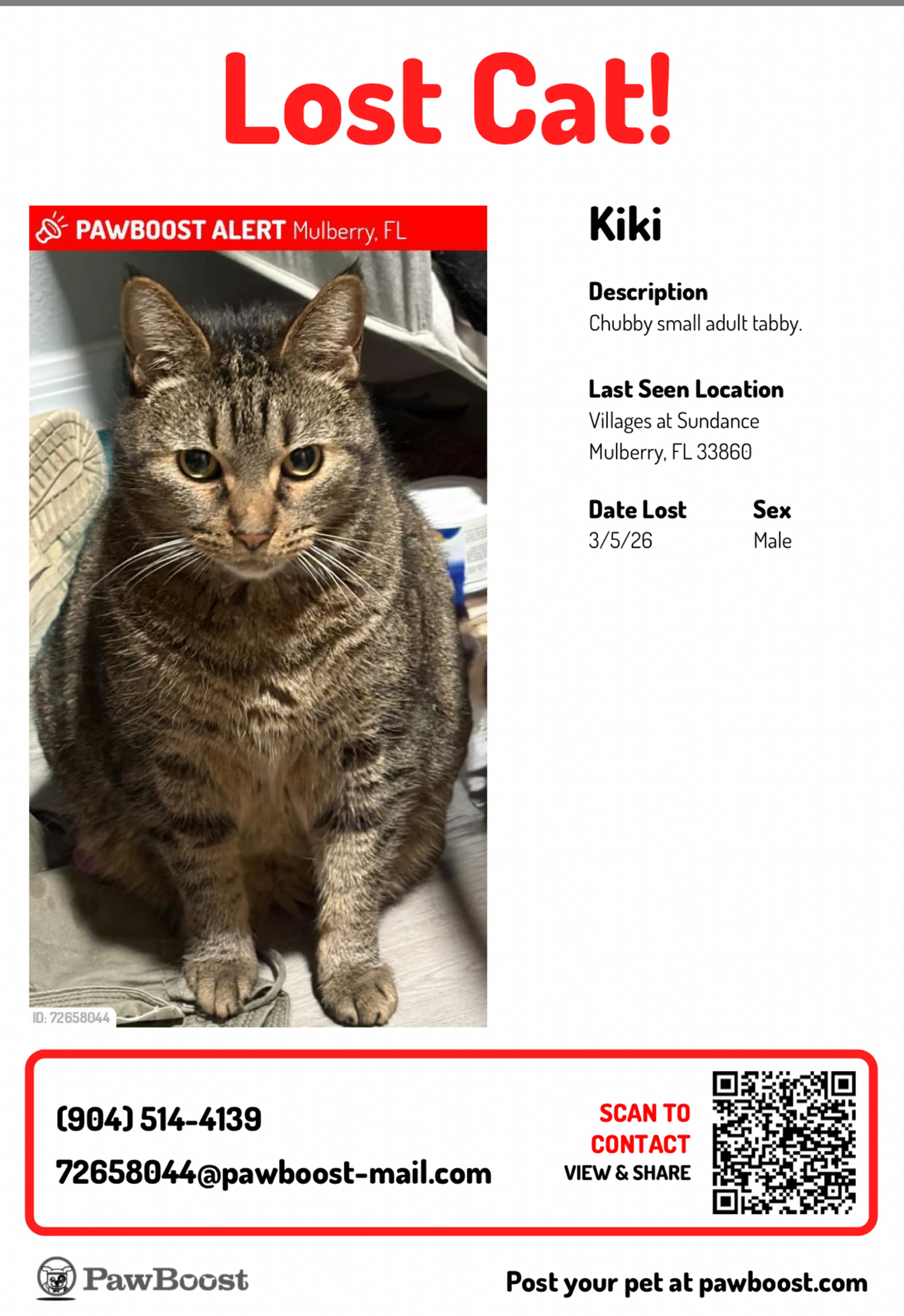 Lost pet
