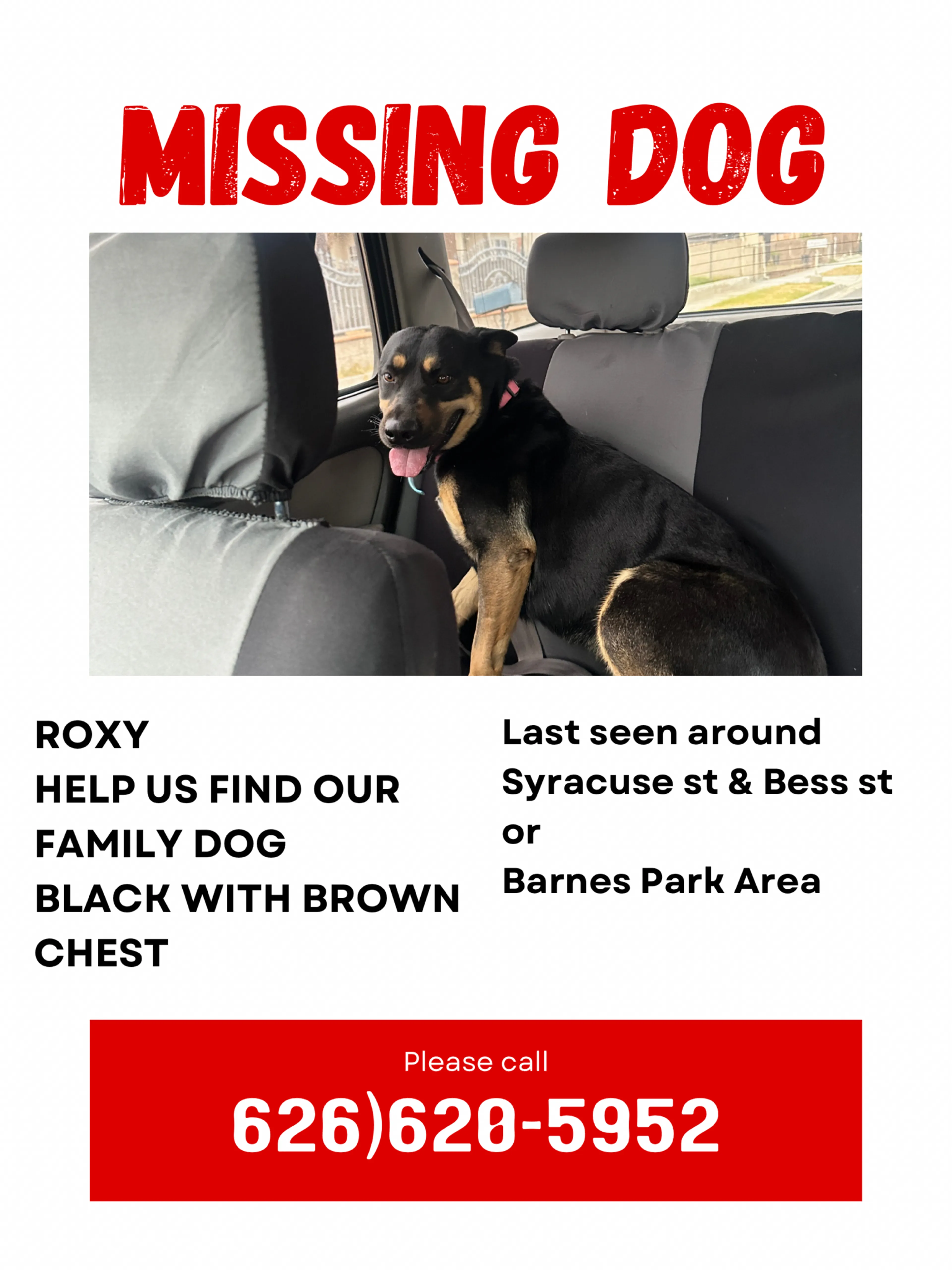 Lost pet
