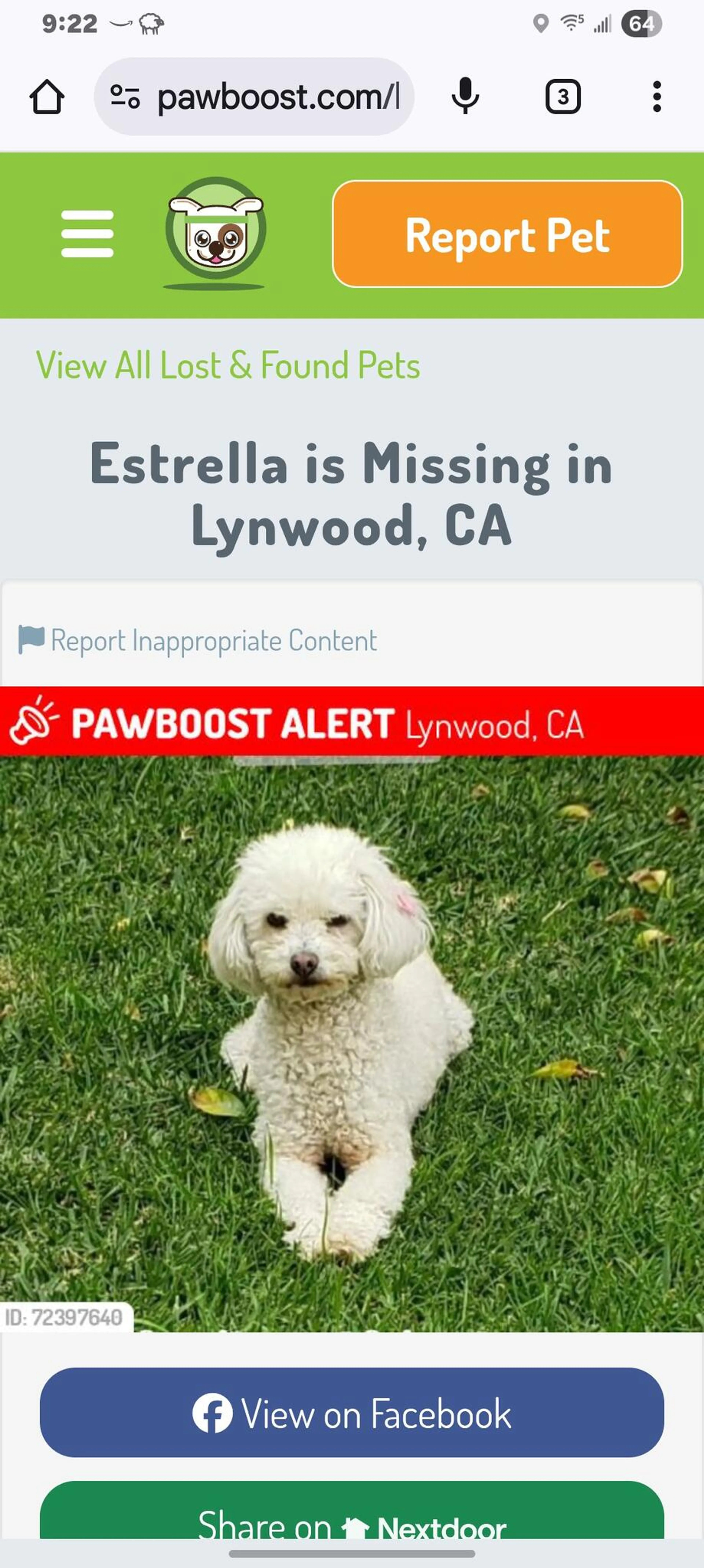 Lost pet