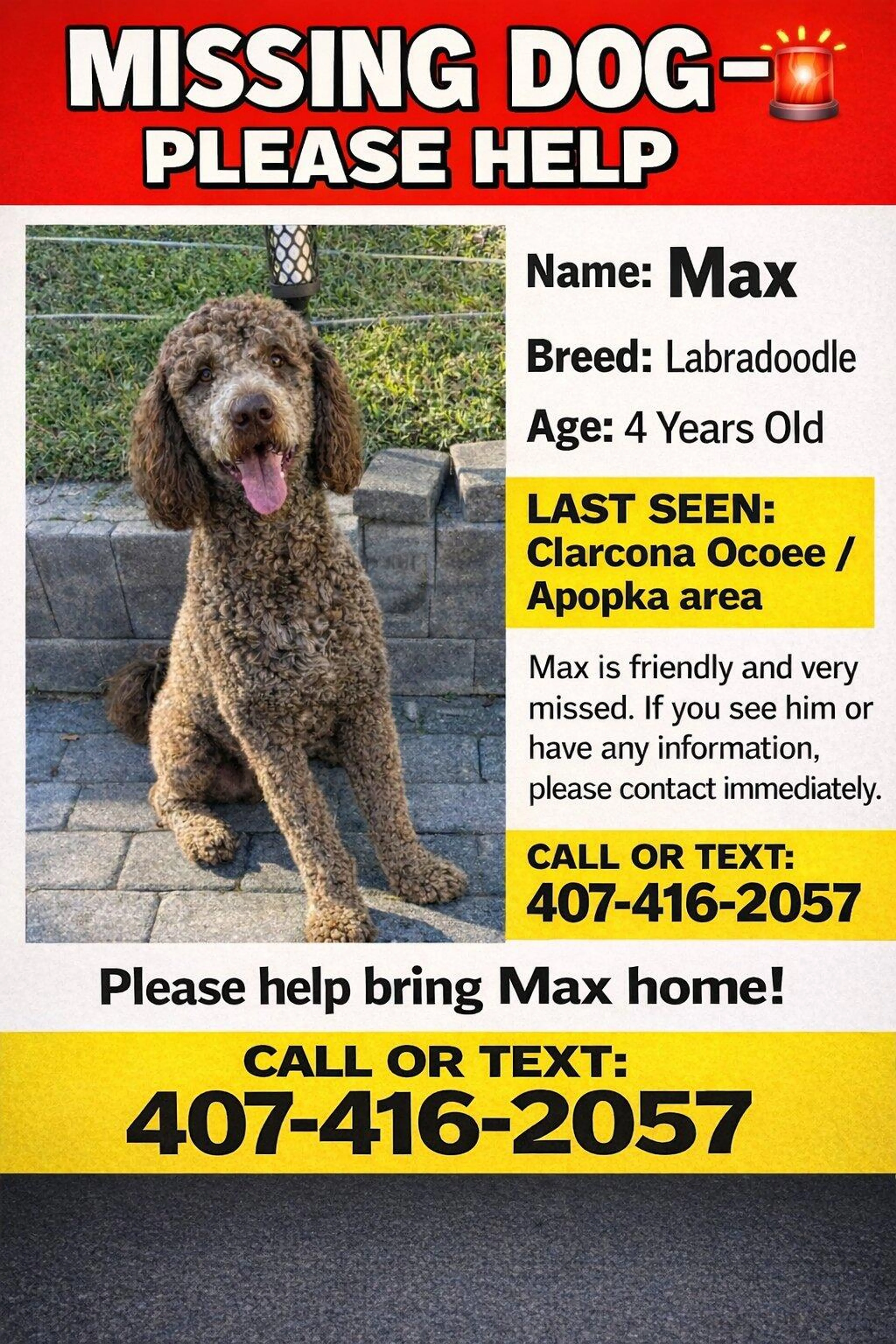 Lost pet
