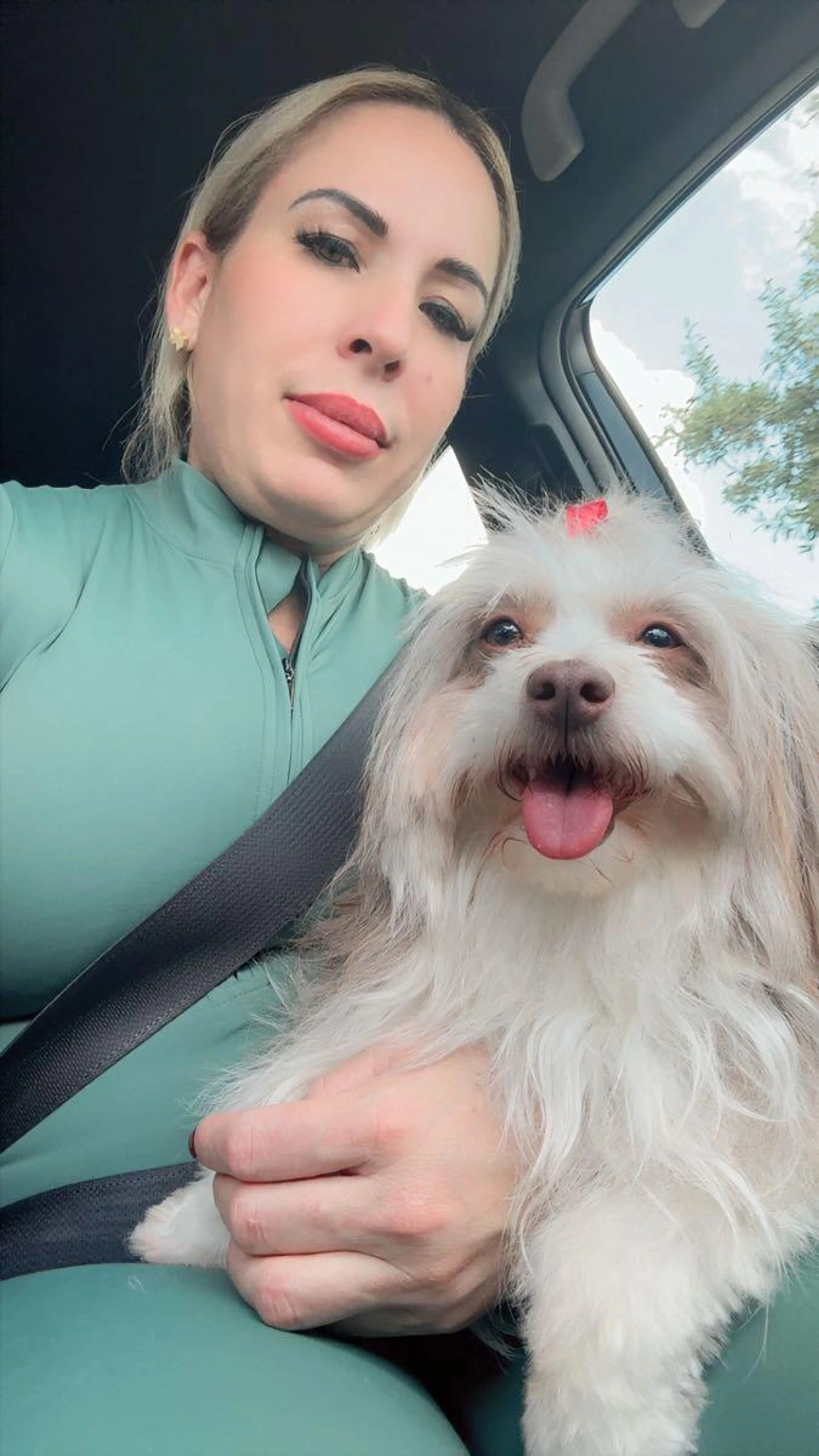 Lost pet