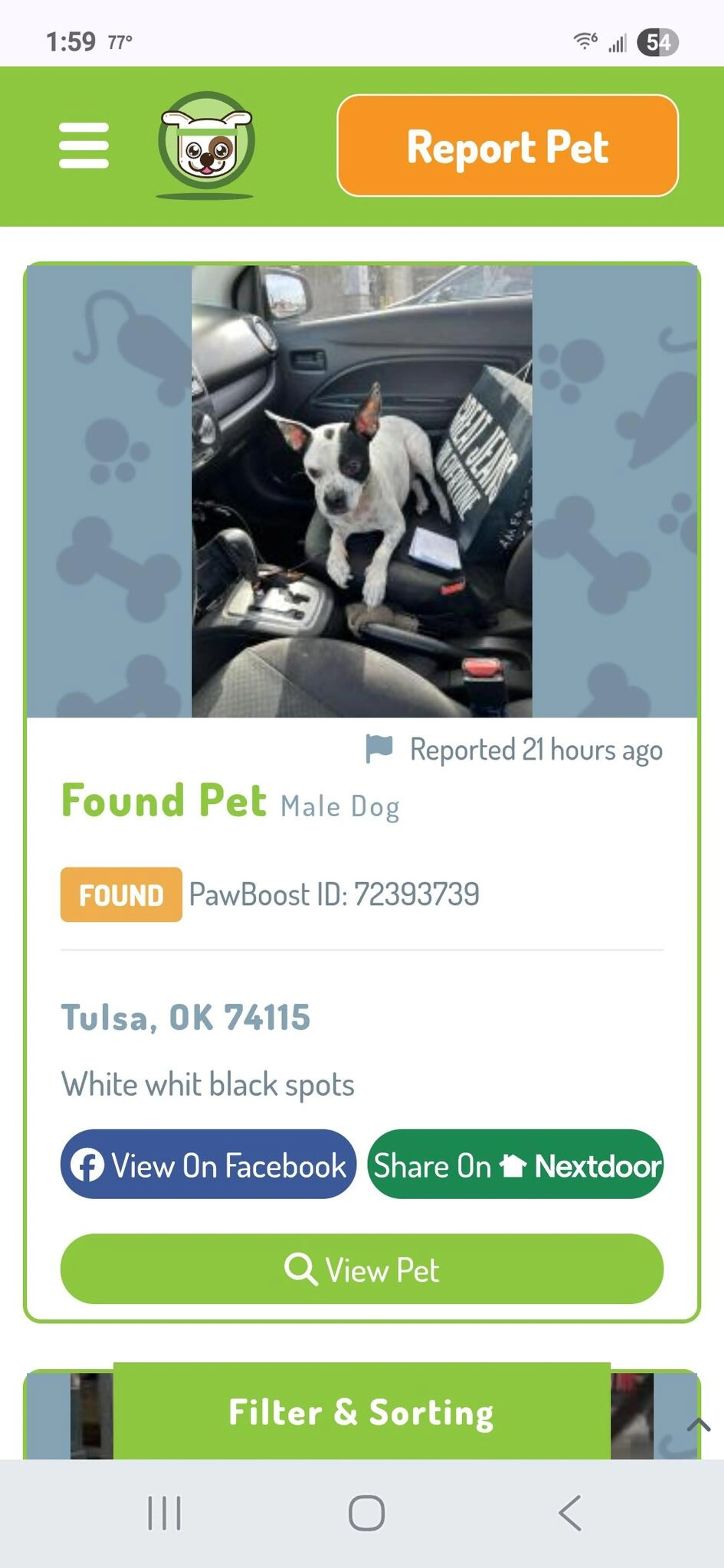 Found pet