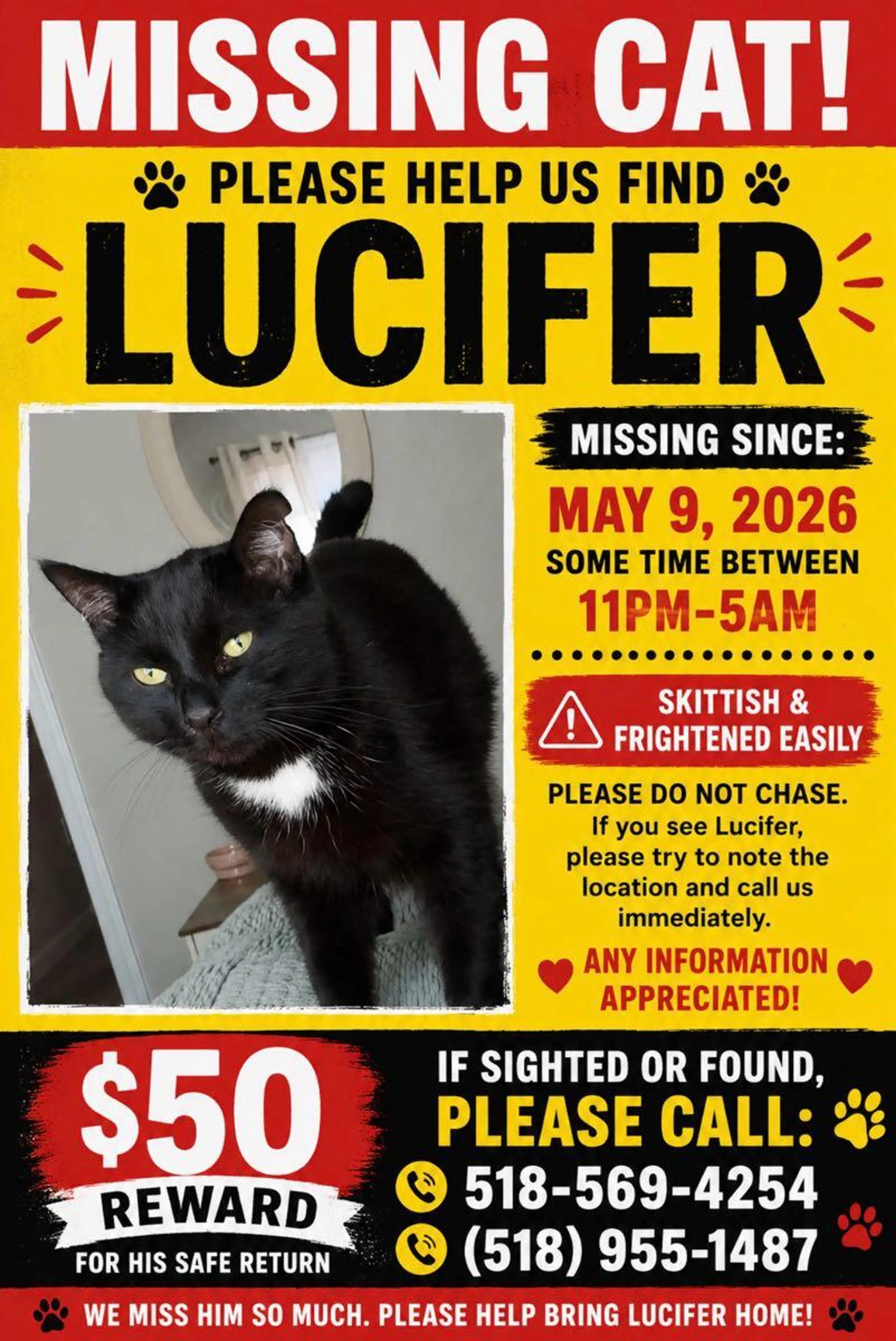 Found pet