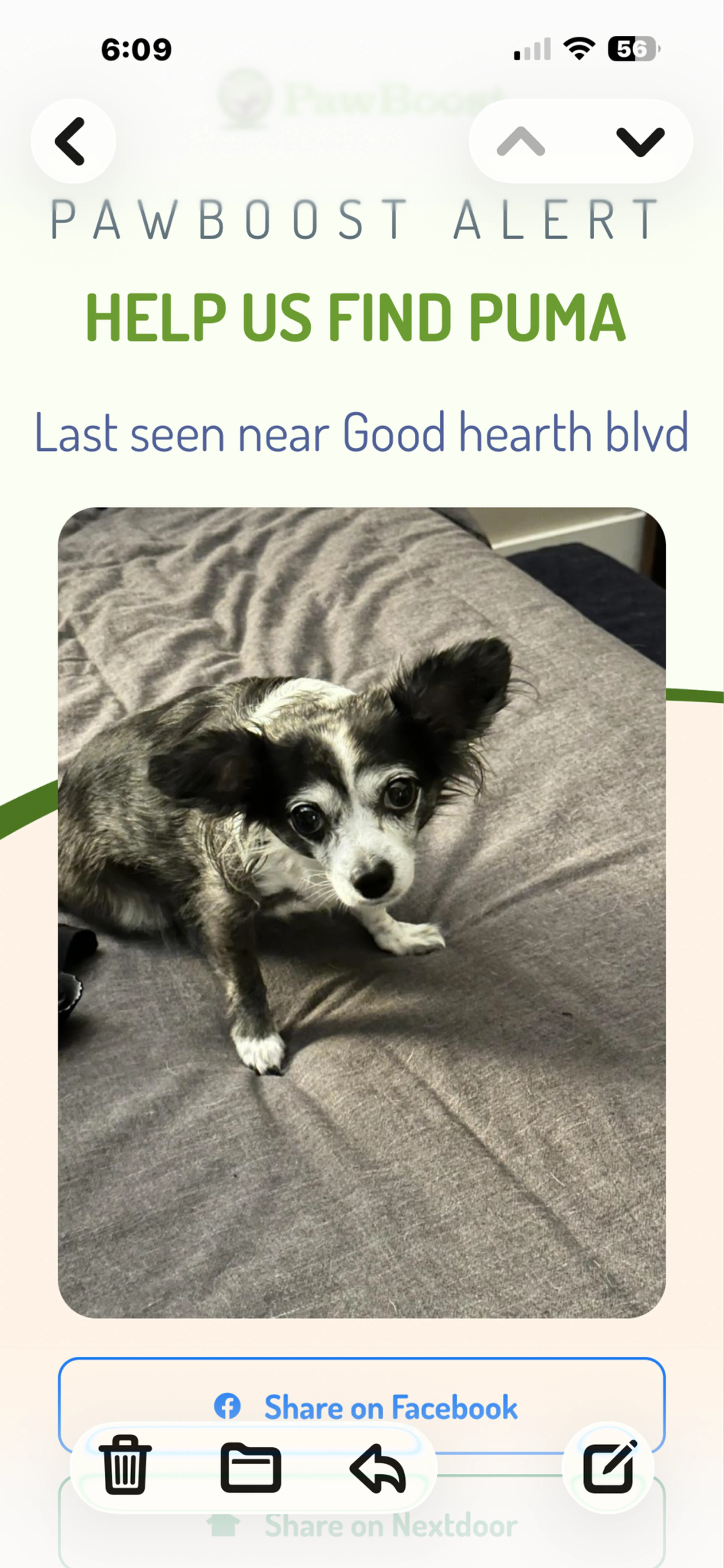Lost pet