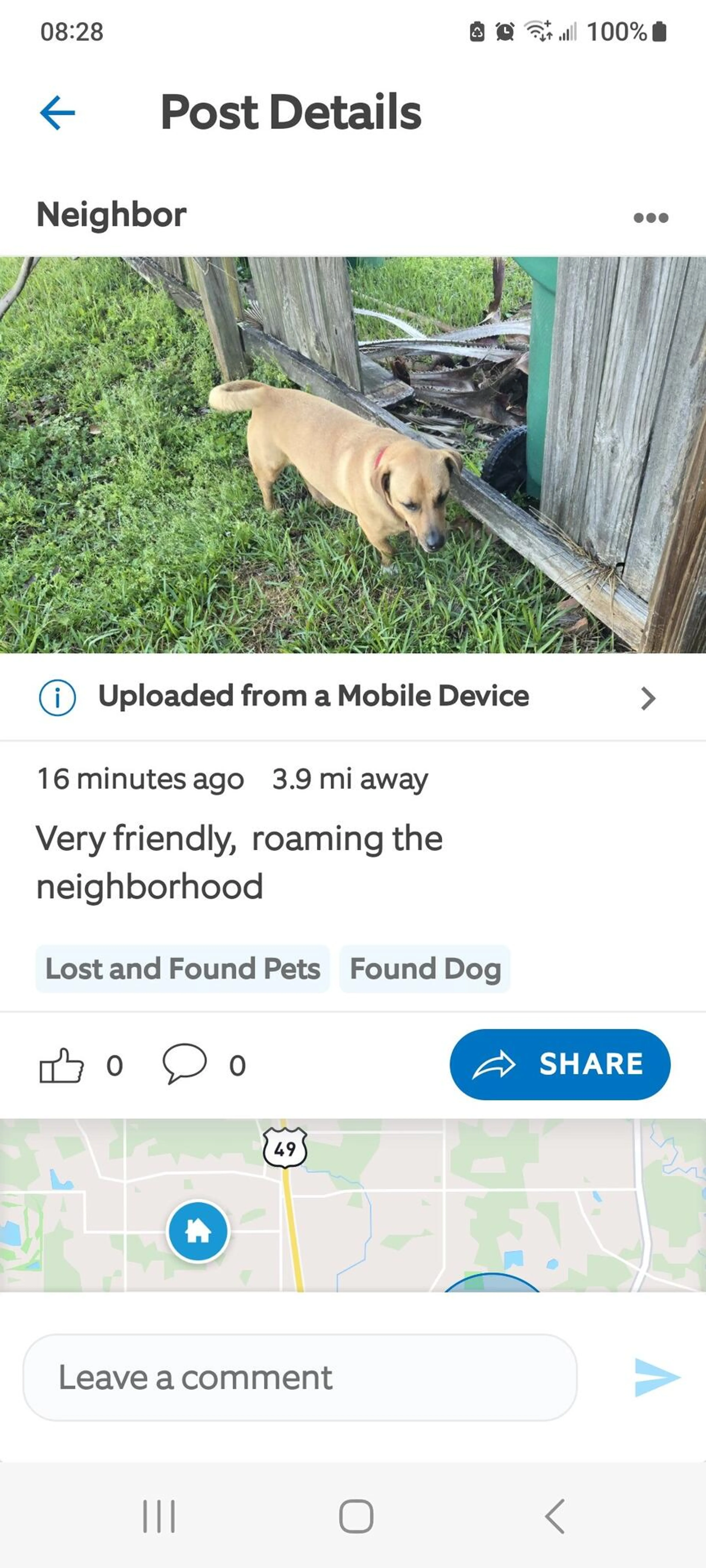 Found pet