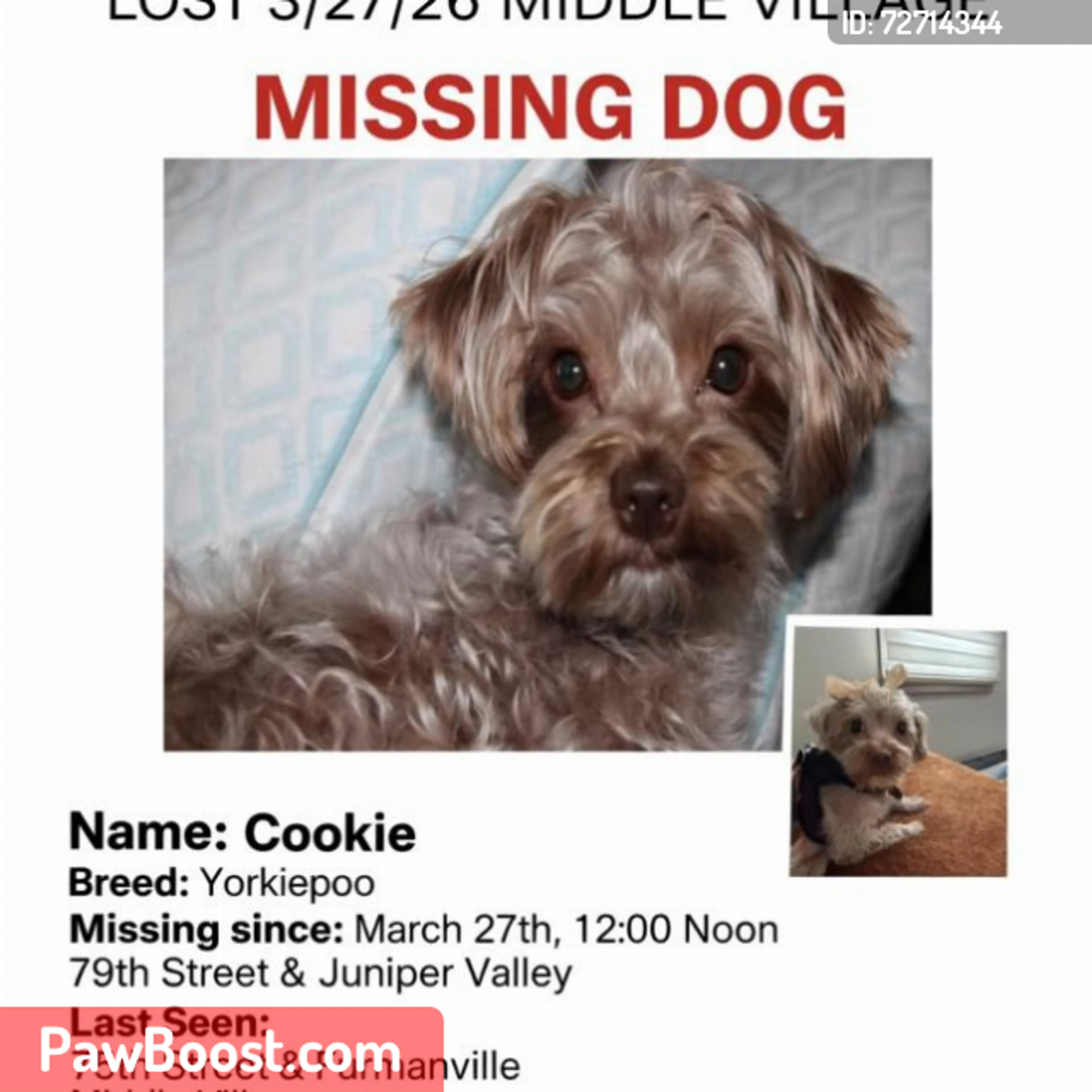 Lost pet
