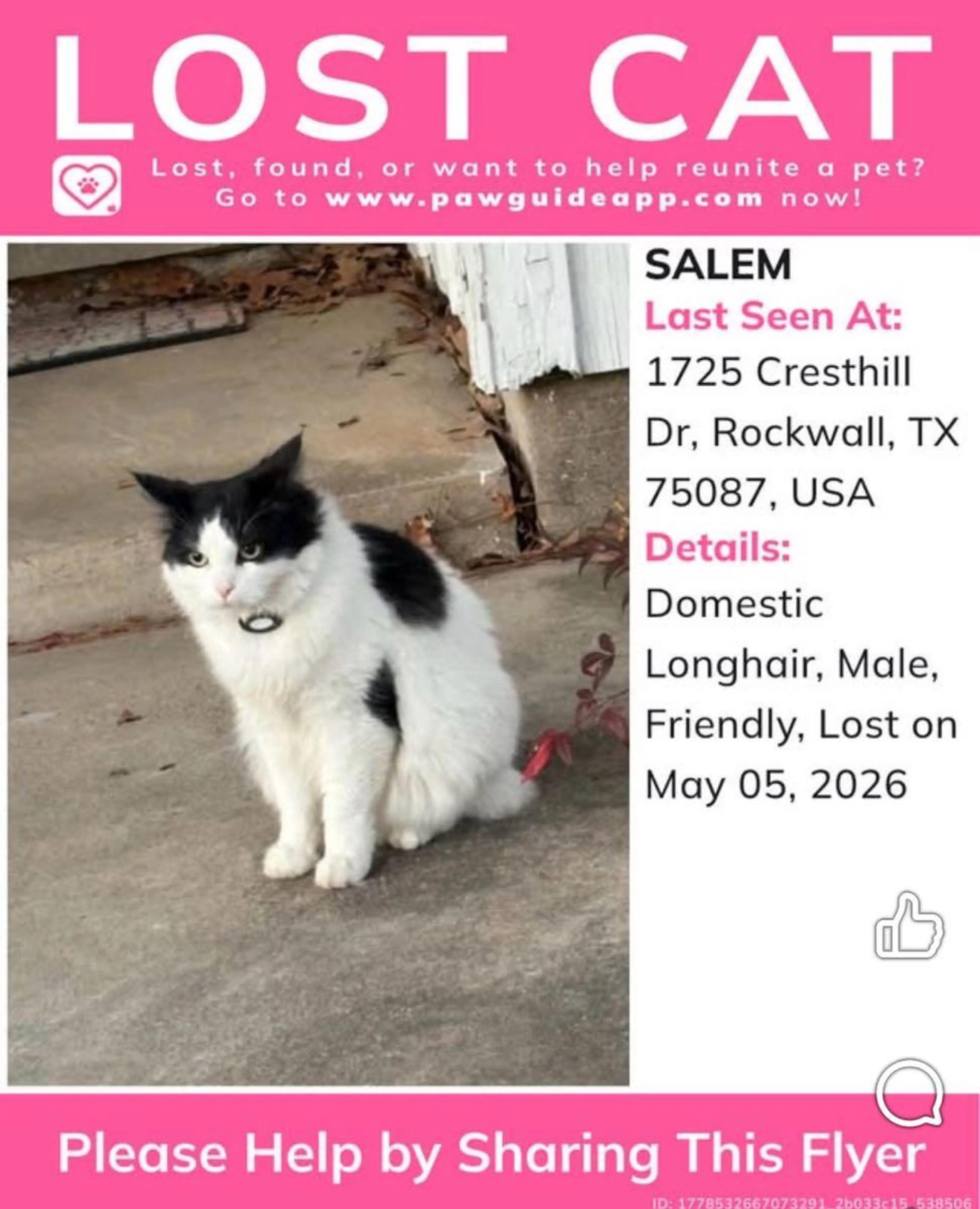 Lost pet